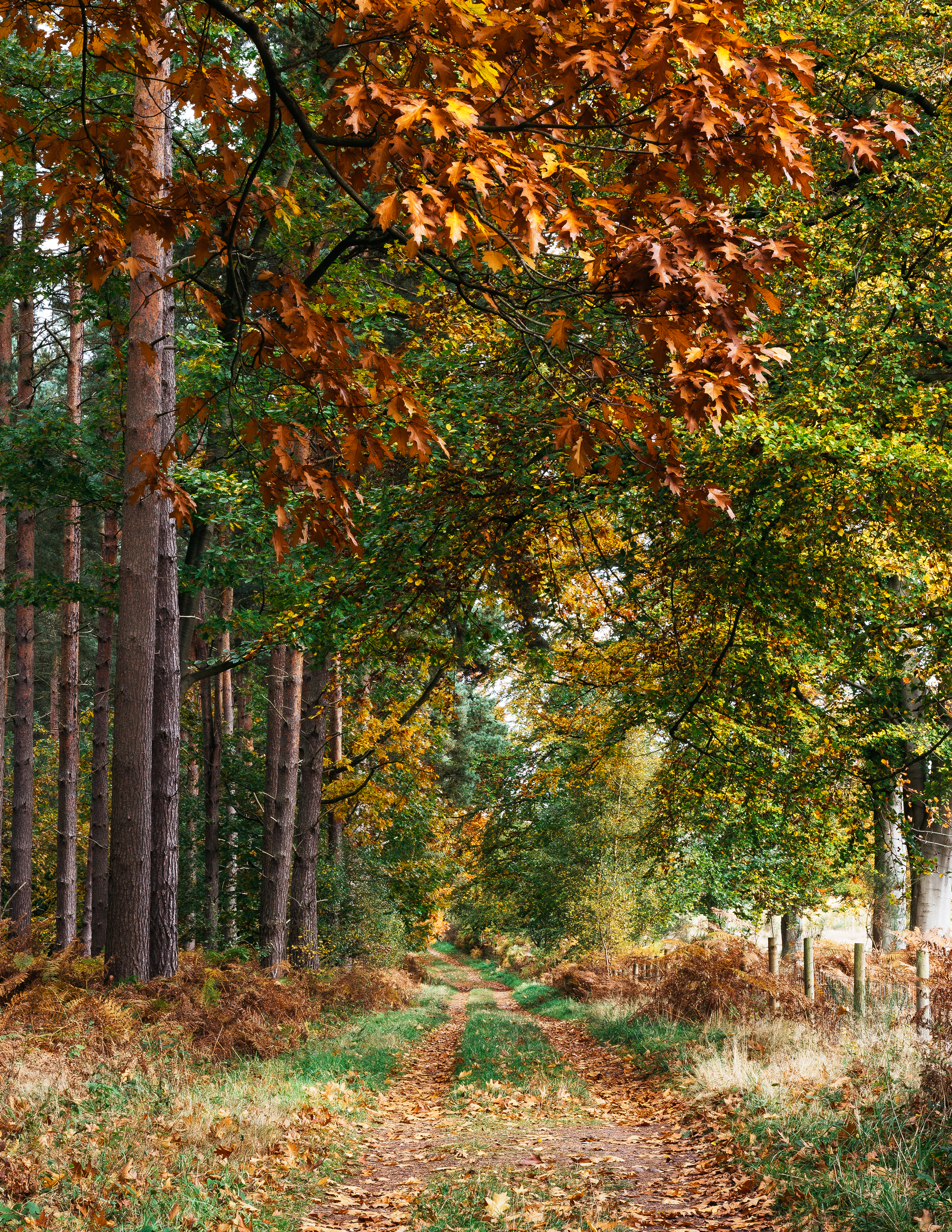 Things To Do When You Love A/W But Your Mental Health Doesn't 