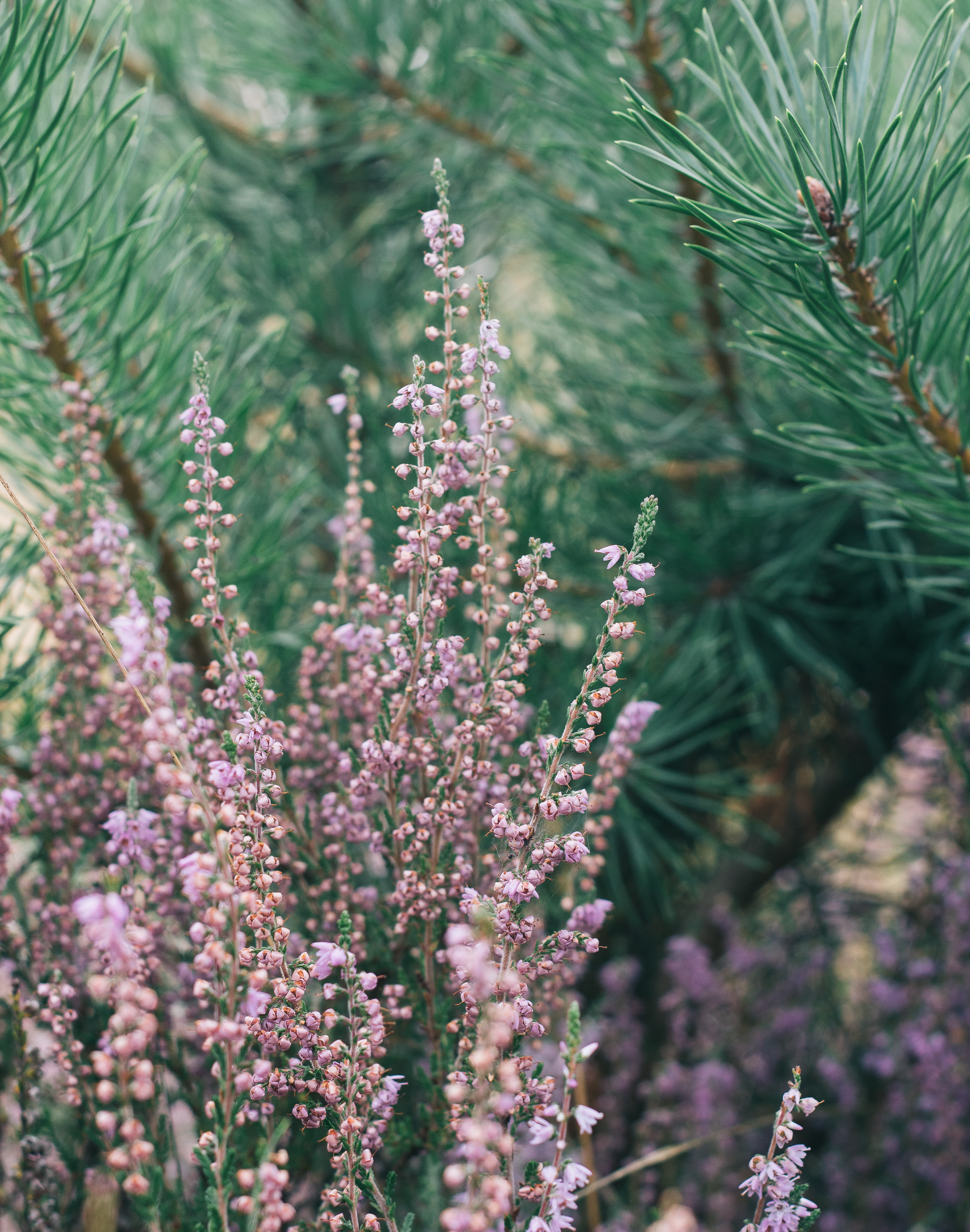 Why It's Ok If You Don't Know What You're Going To Do Next 