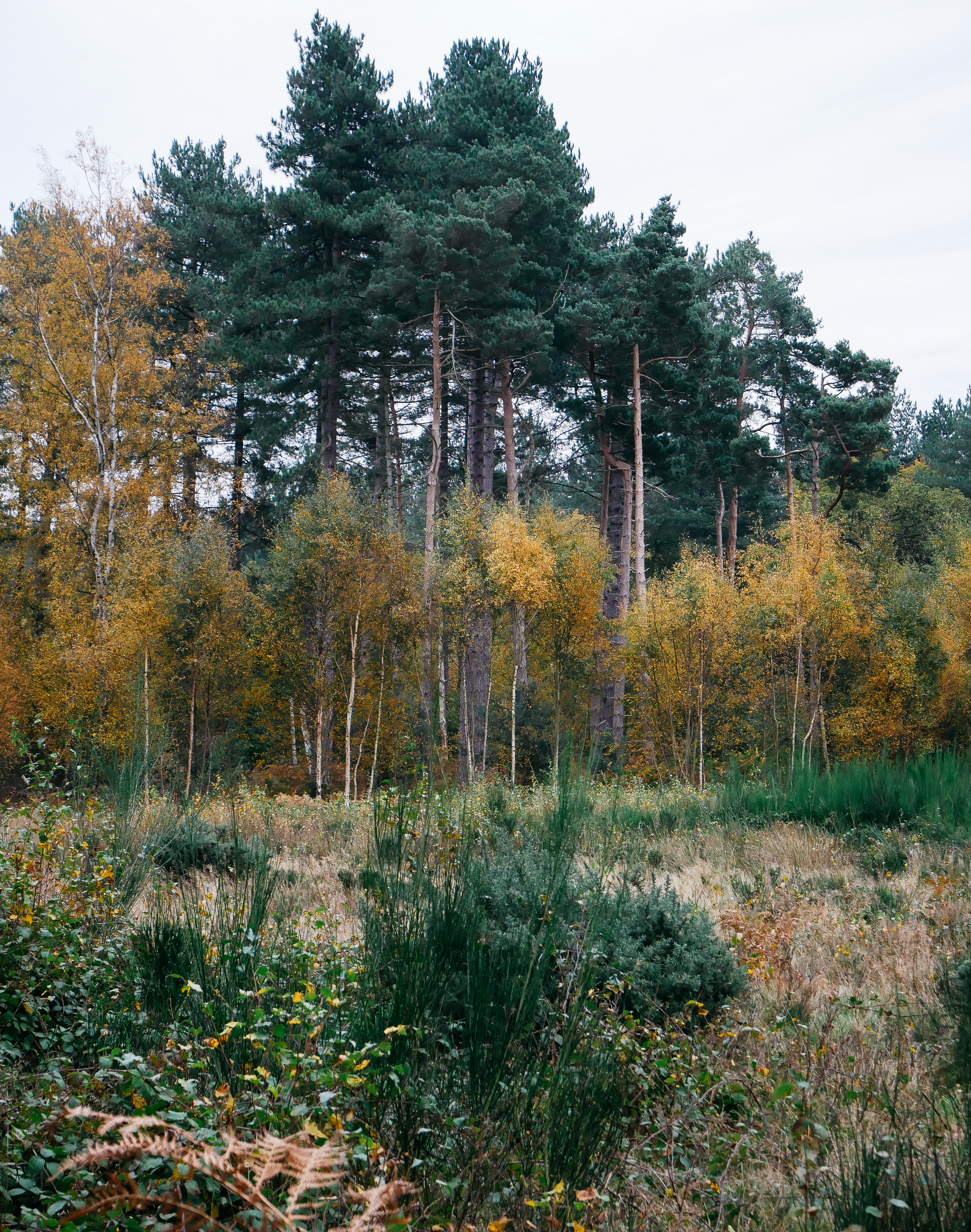 All The Style Pieces You Need To Keep Really Warm This Winter