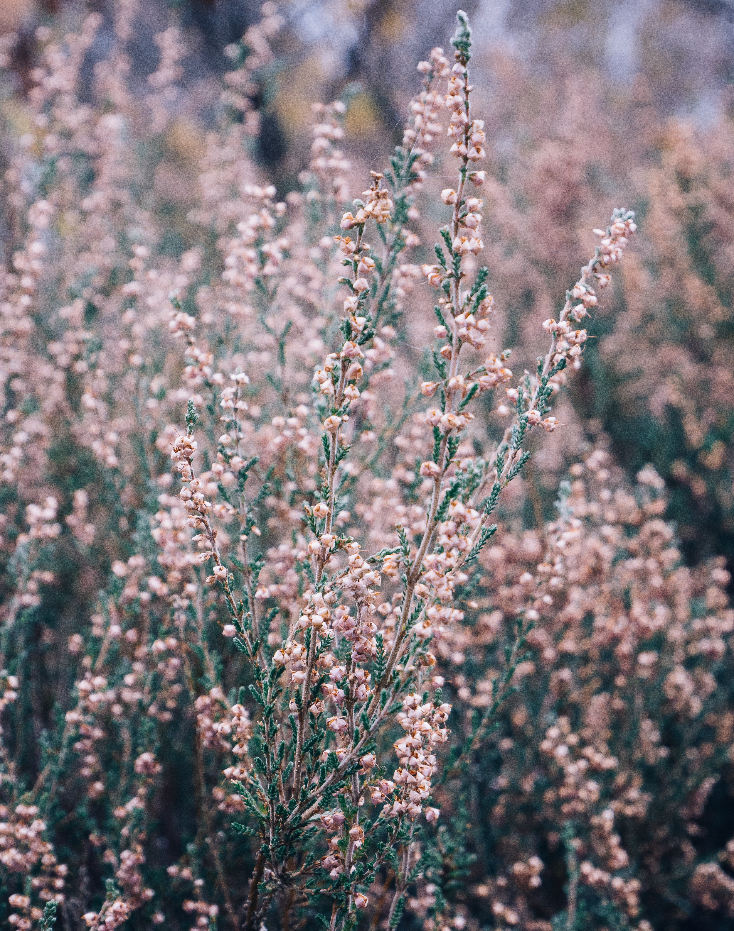 Why I'm Embracing A Creative & Inspiration Block [For Once]