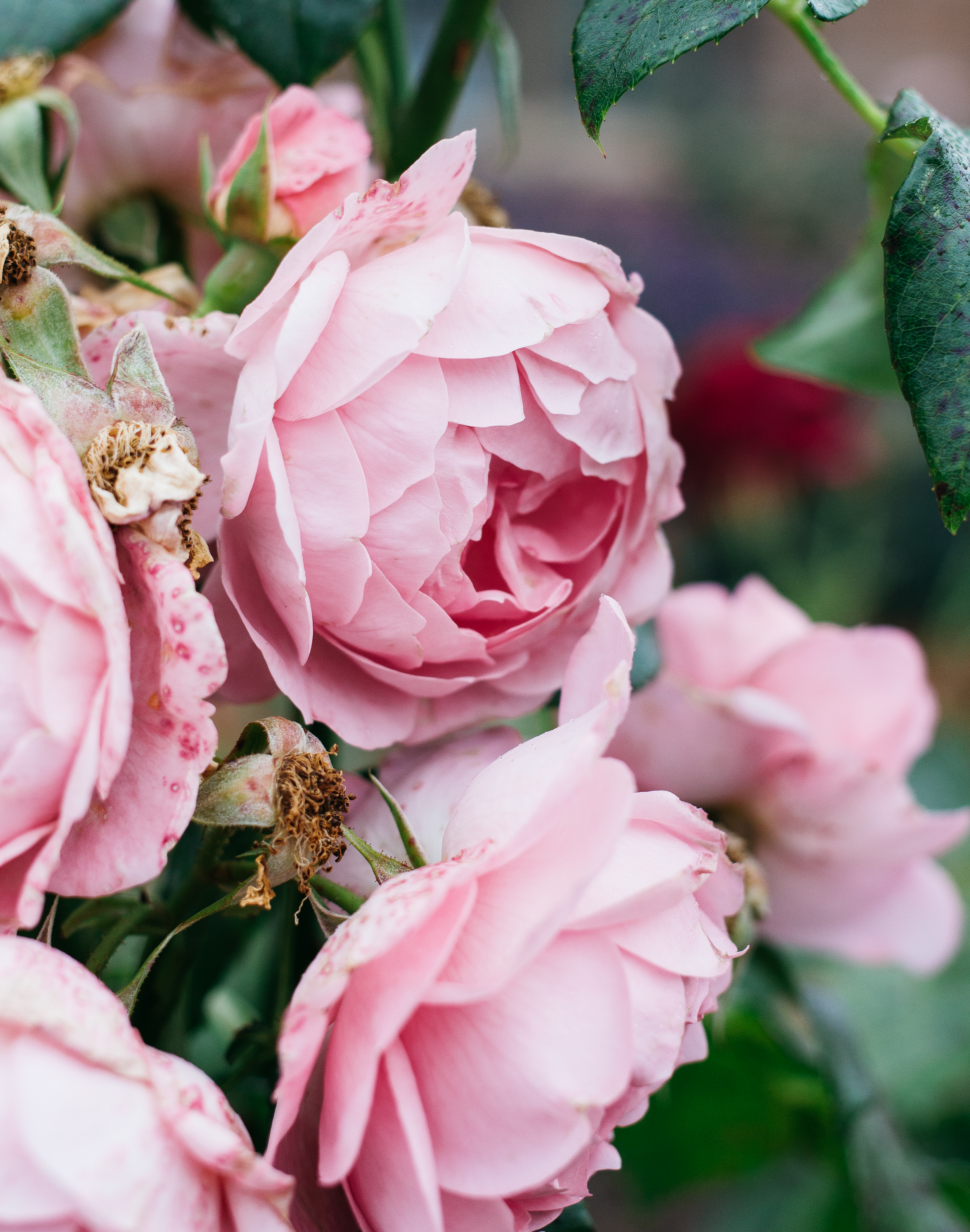 4 Habits I'm Trying To Make & 4 I'm Trying To Break 