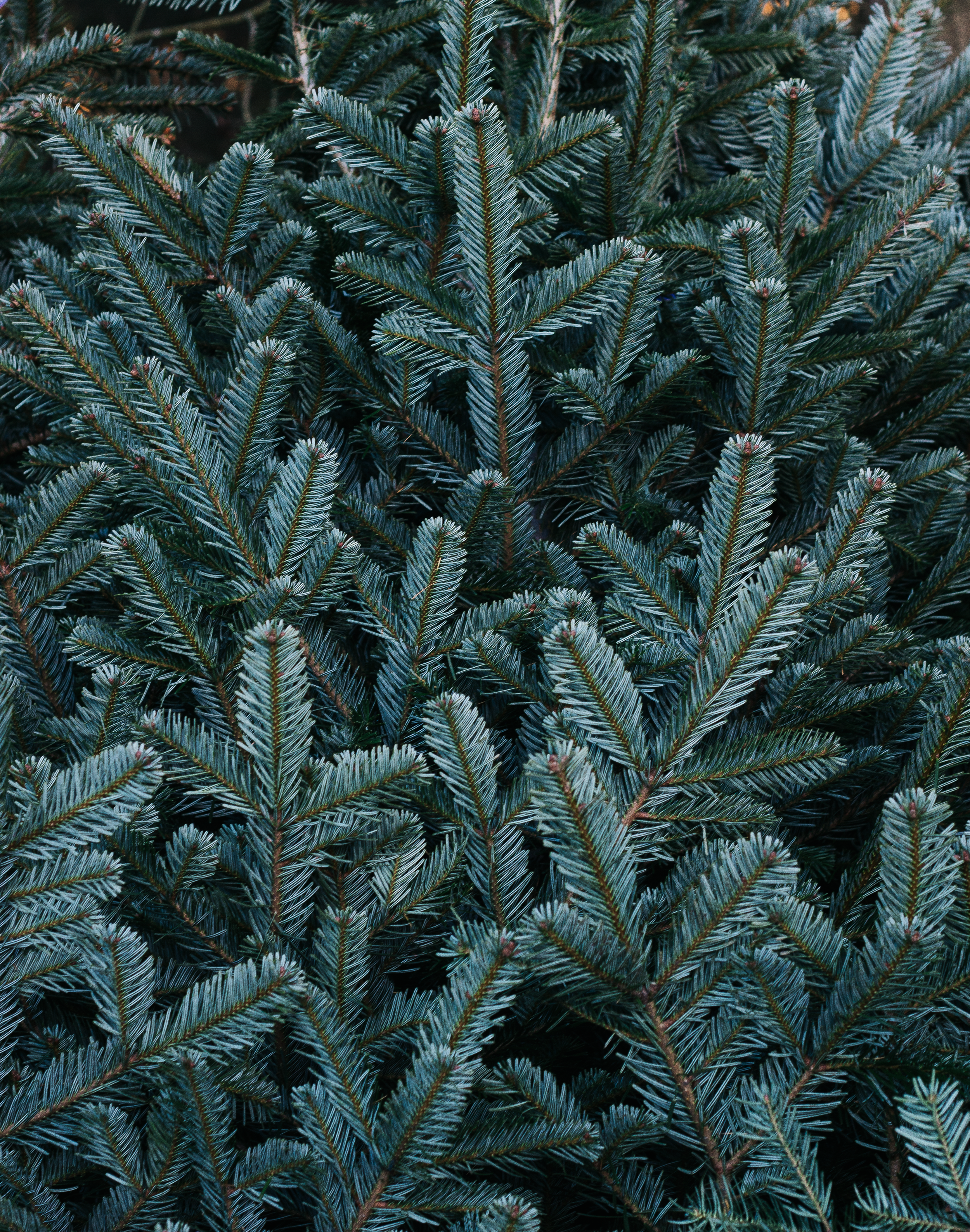 Little Ways To Live More Sustainably 