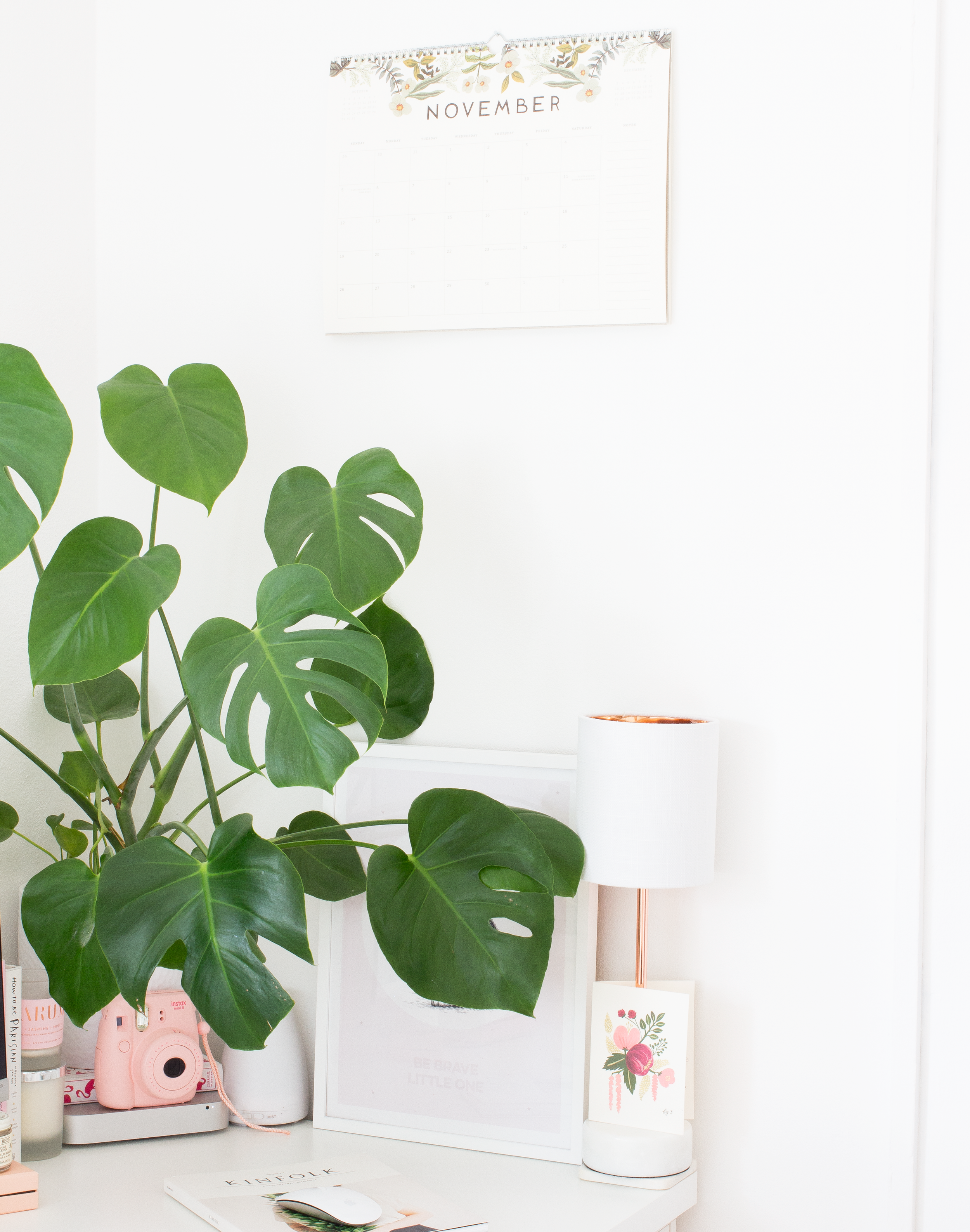 The Renovation Diaries #1 