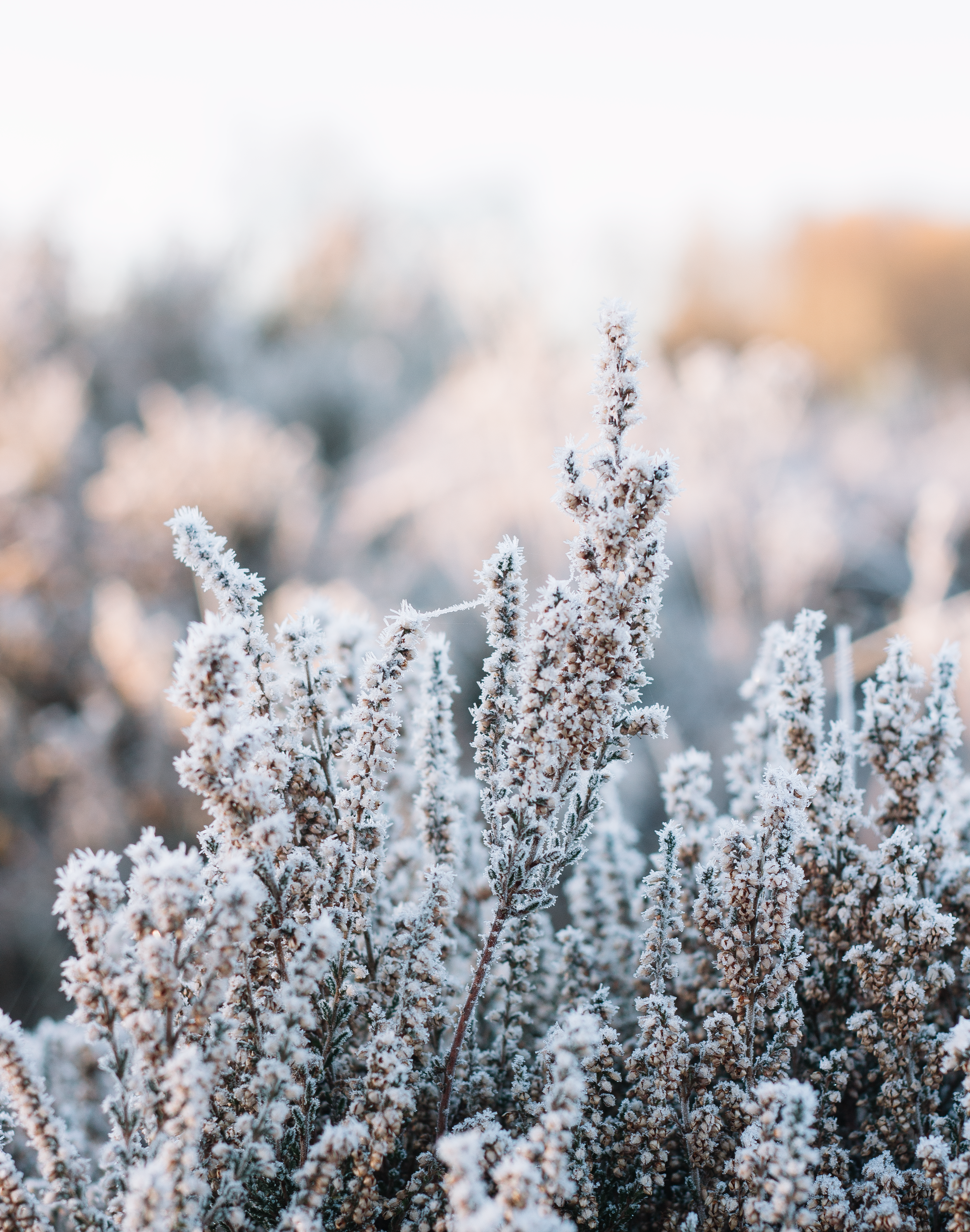 Why Everything Feels So Much Harder In Winter & Getting Around It 