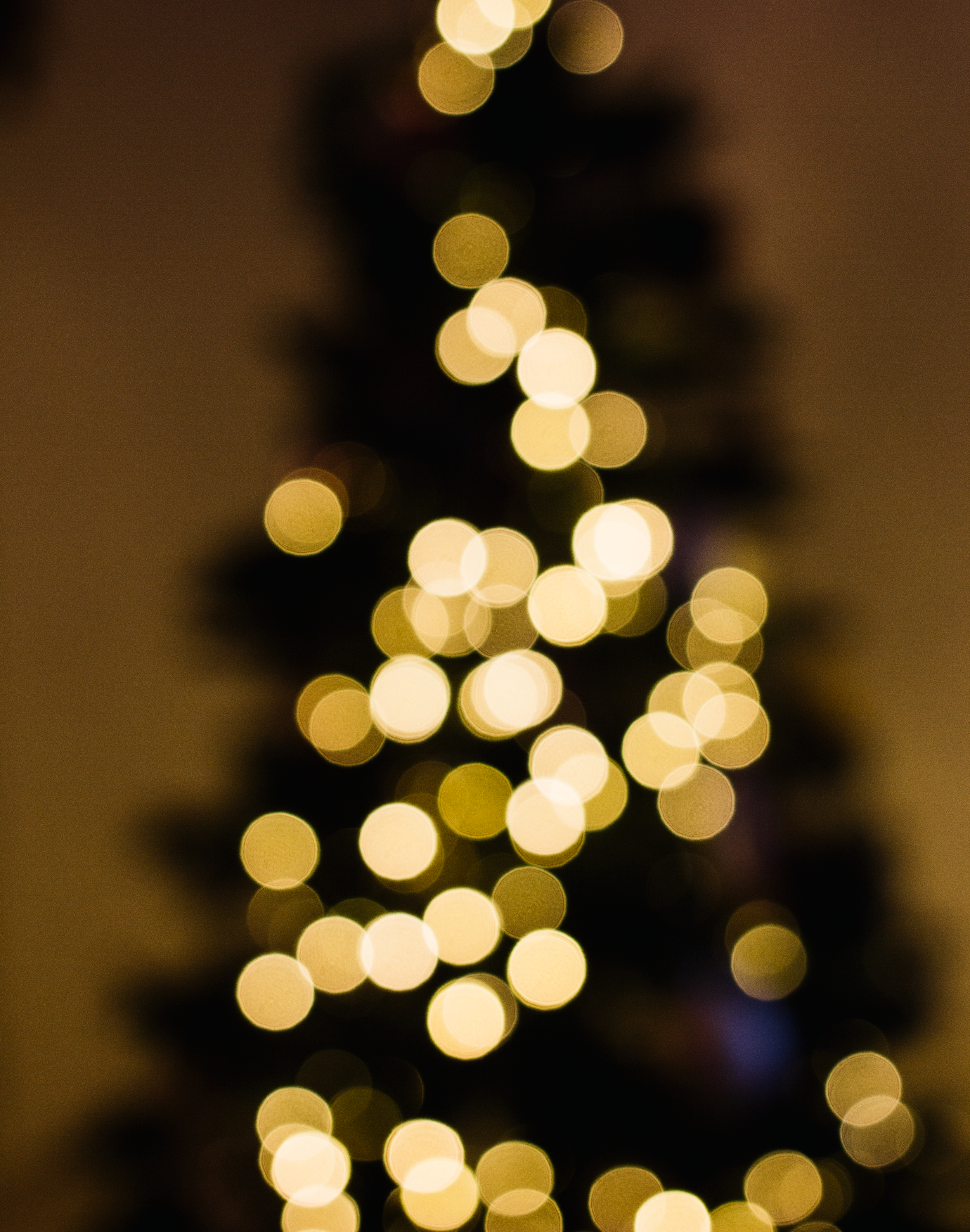 Tree.png
