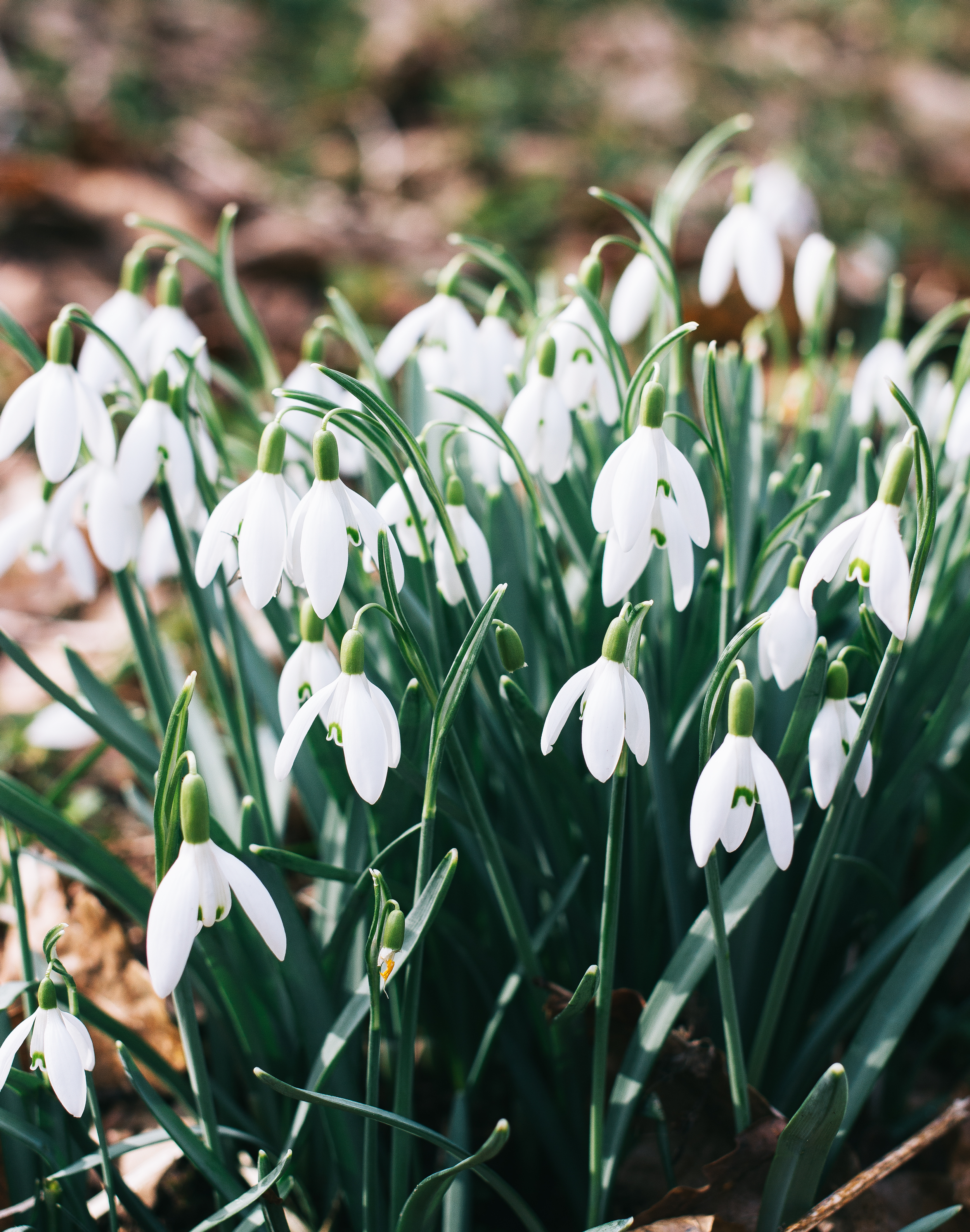 A Whole Lot Of Lifestyle Favourites 