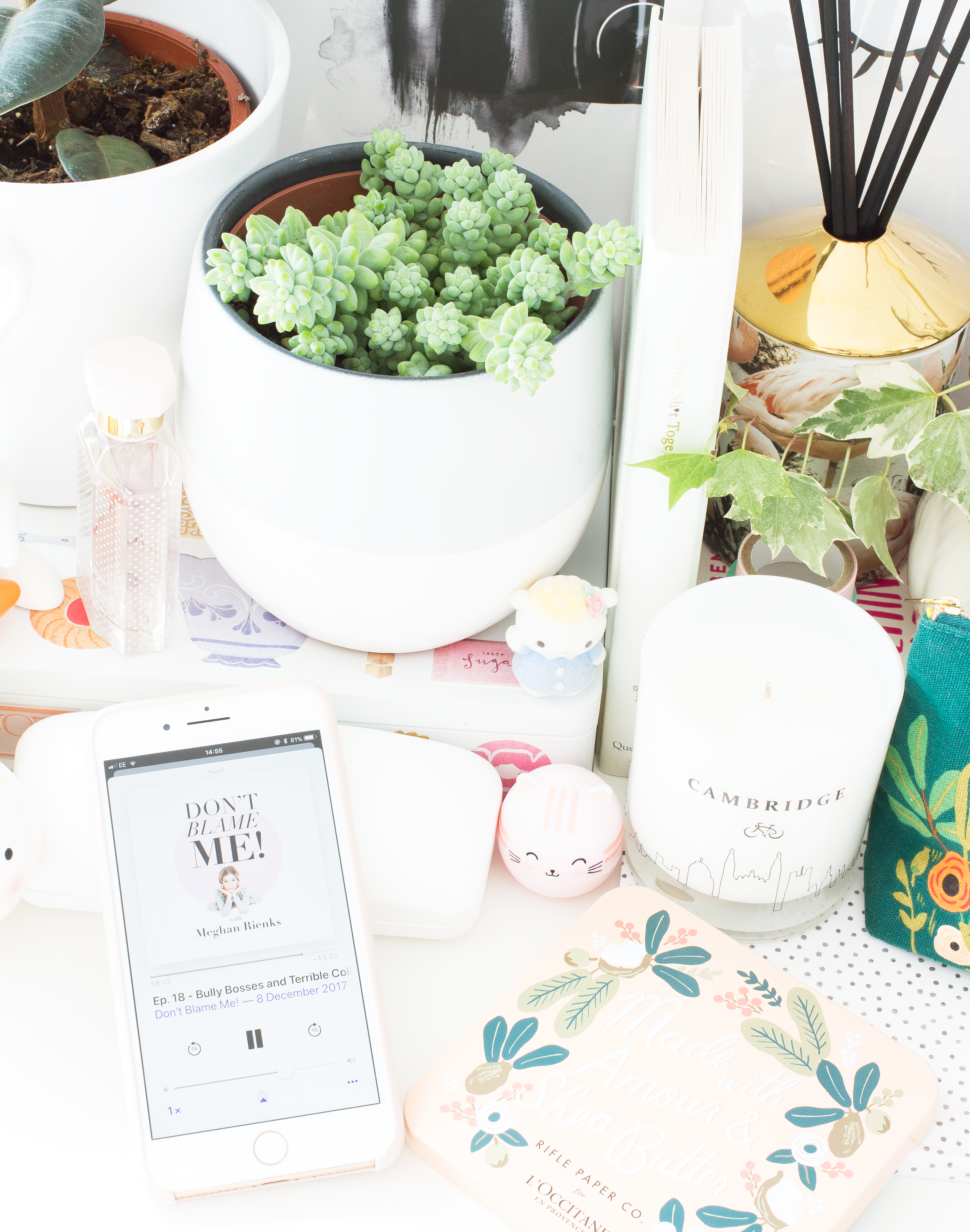 The Podcasts That I Can't Get Enough Of 