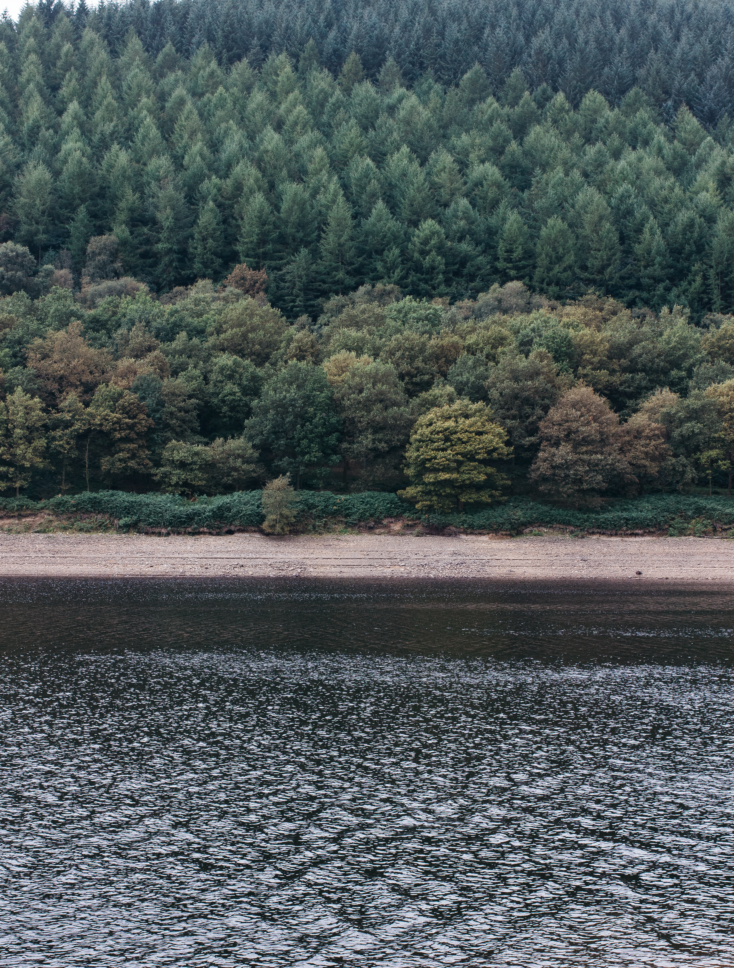 From-Roses---Ladybower---2.png