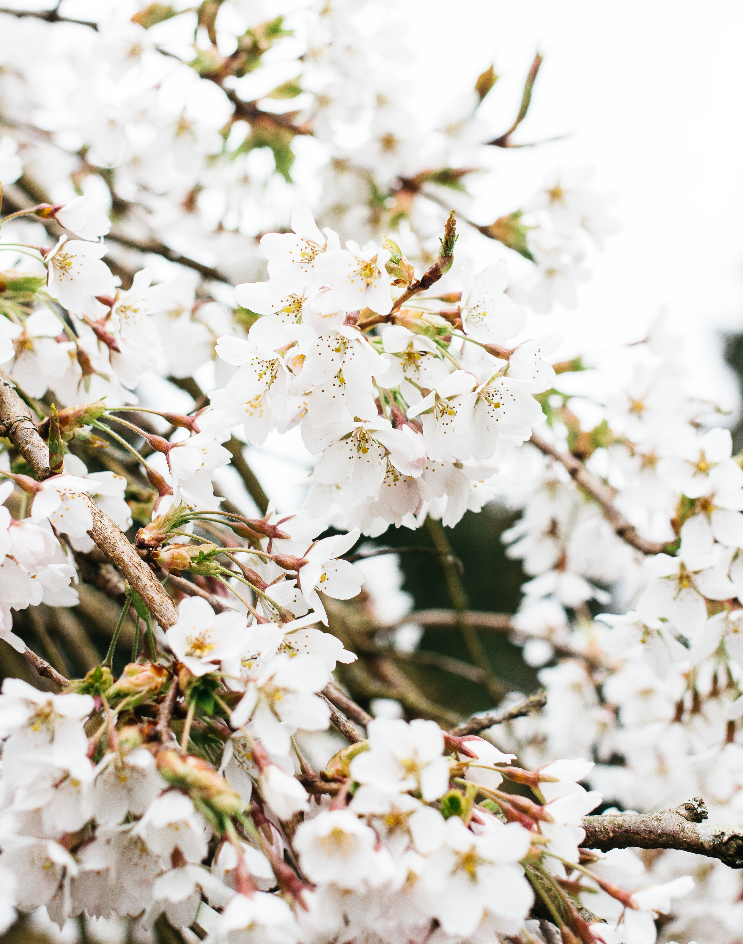 6 Reasons To Be Excited For Spring 