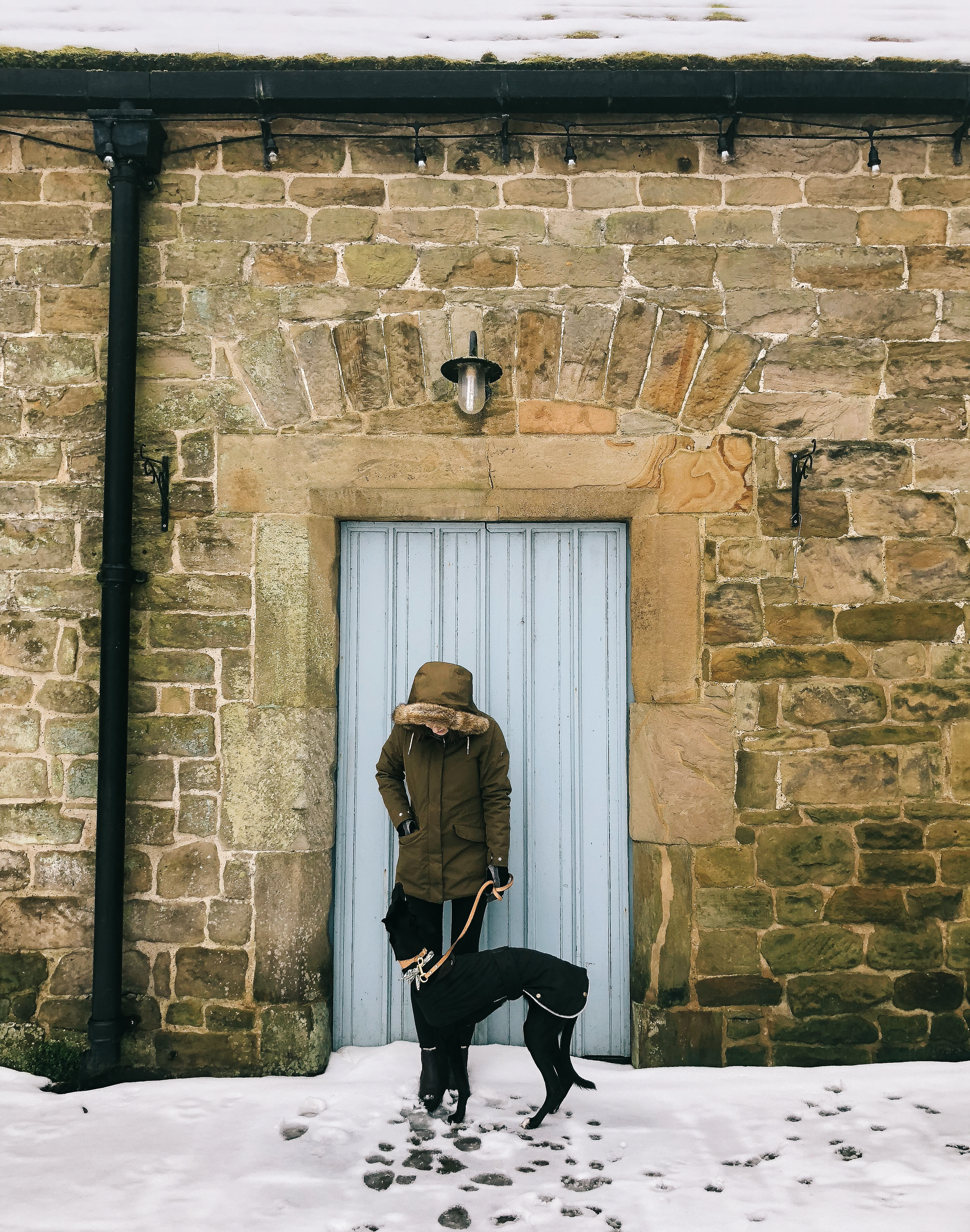 Everything I Want To Do This March 