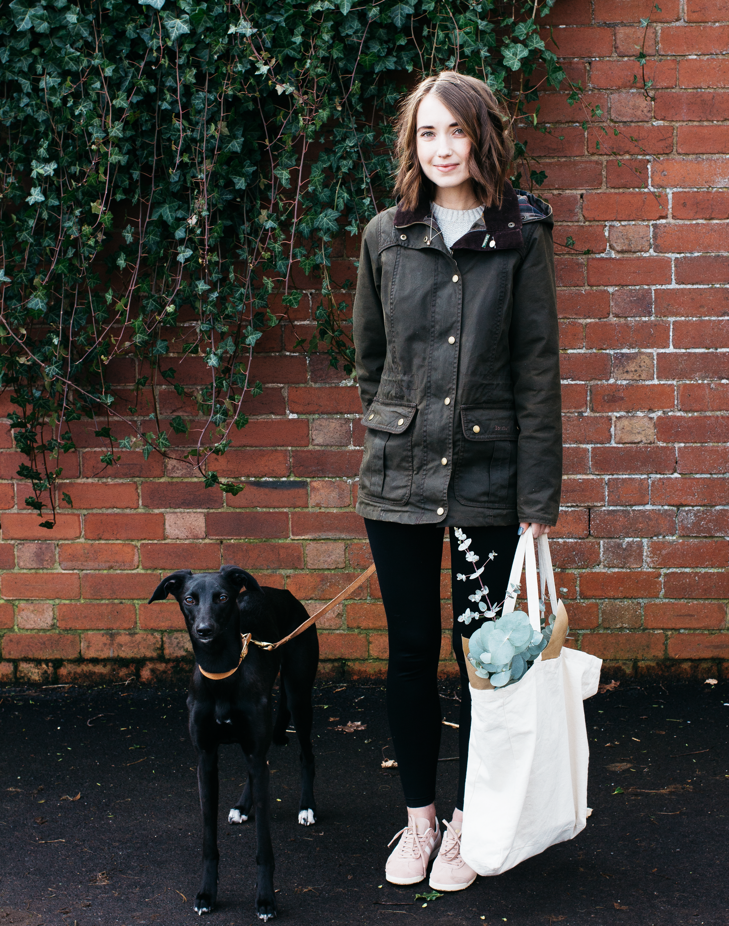 Welcome Back! Where I've Been & What I've Been Doing 