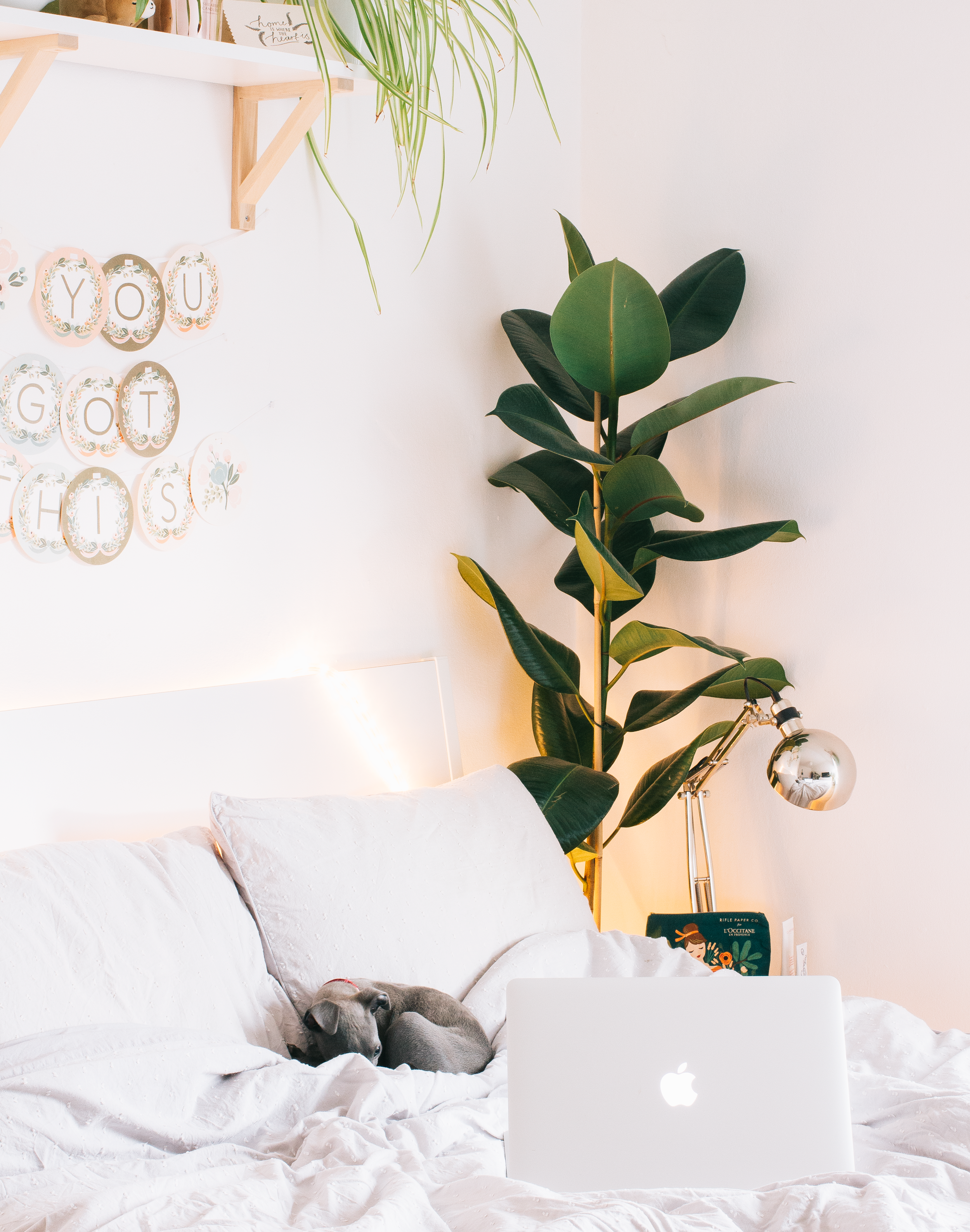 7 Awesome Things From April 