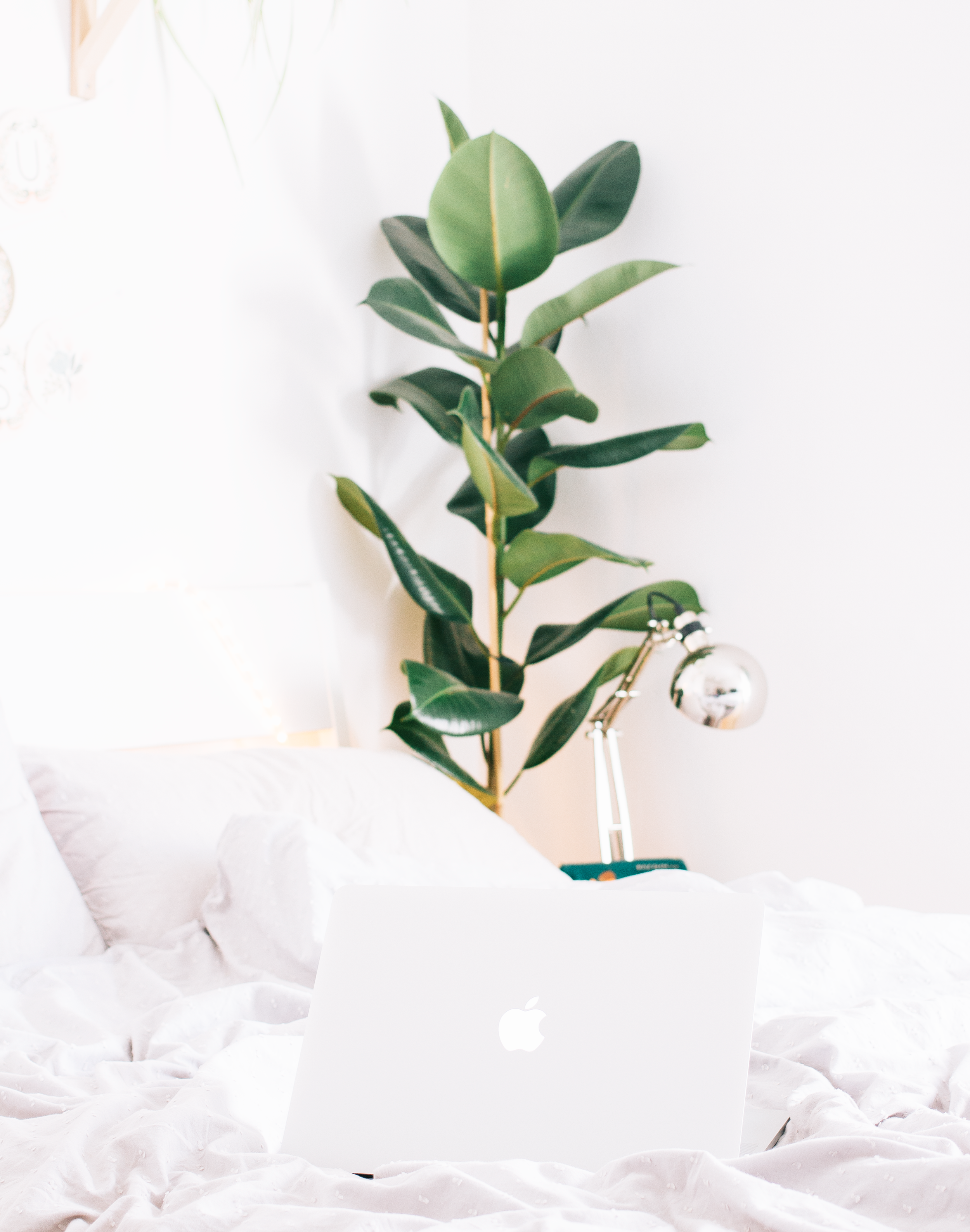 Everything To Watch On Netflix This Weekend 