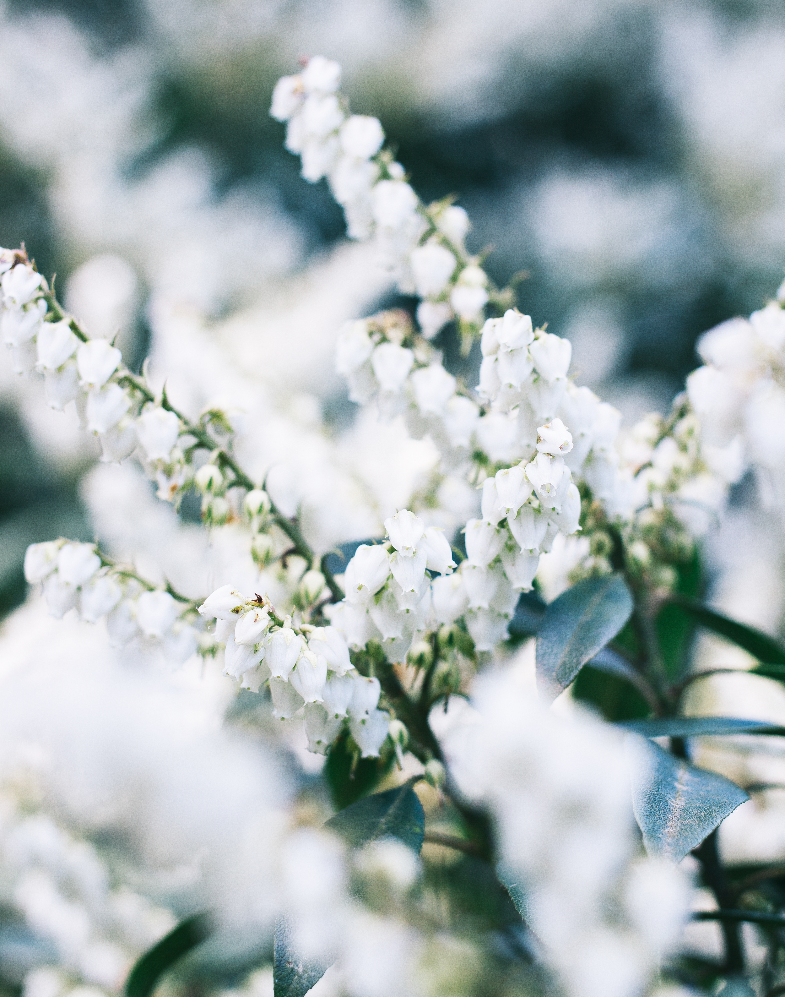 5 Things I've Stopped Caring & Worrying About 