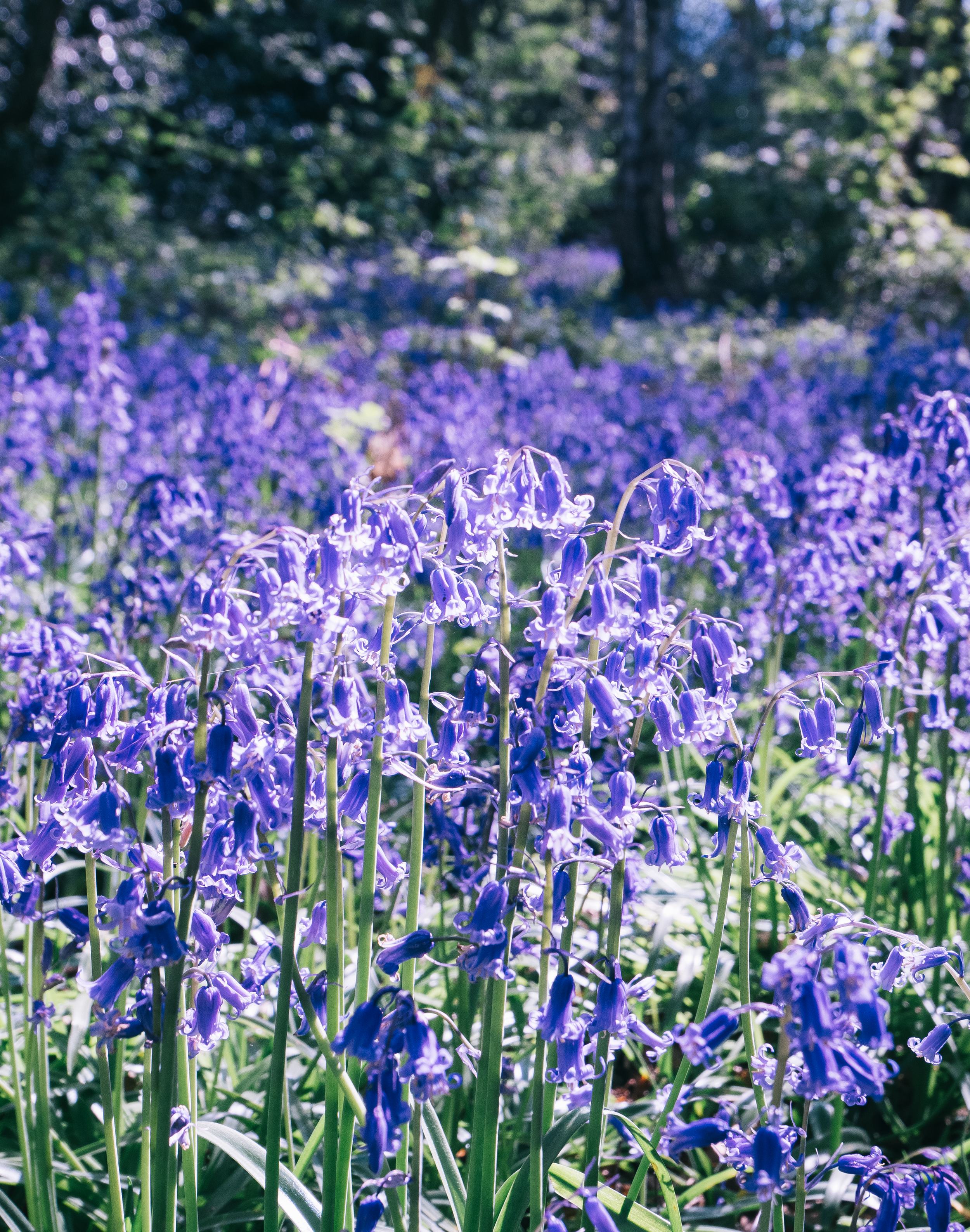 Why Sometimes We Need To Have A Bad Day 