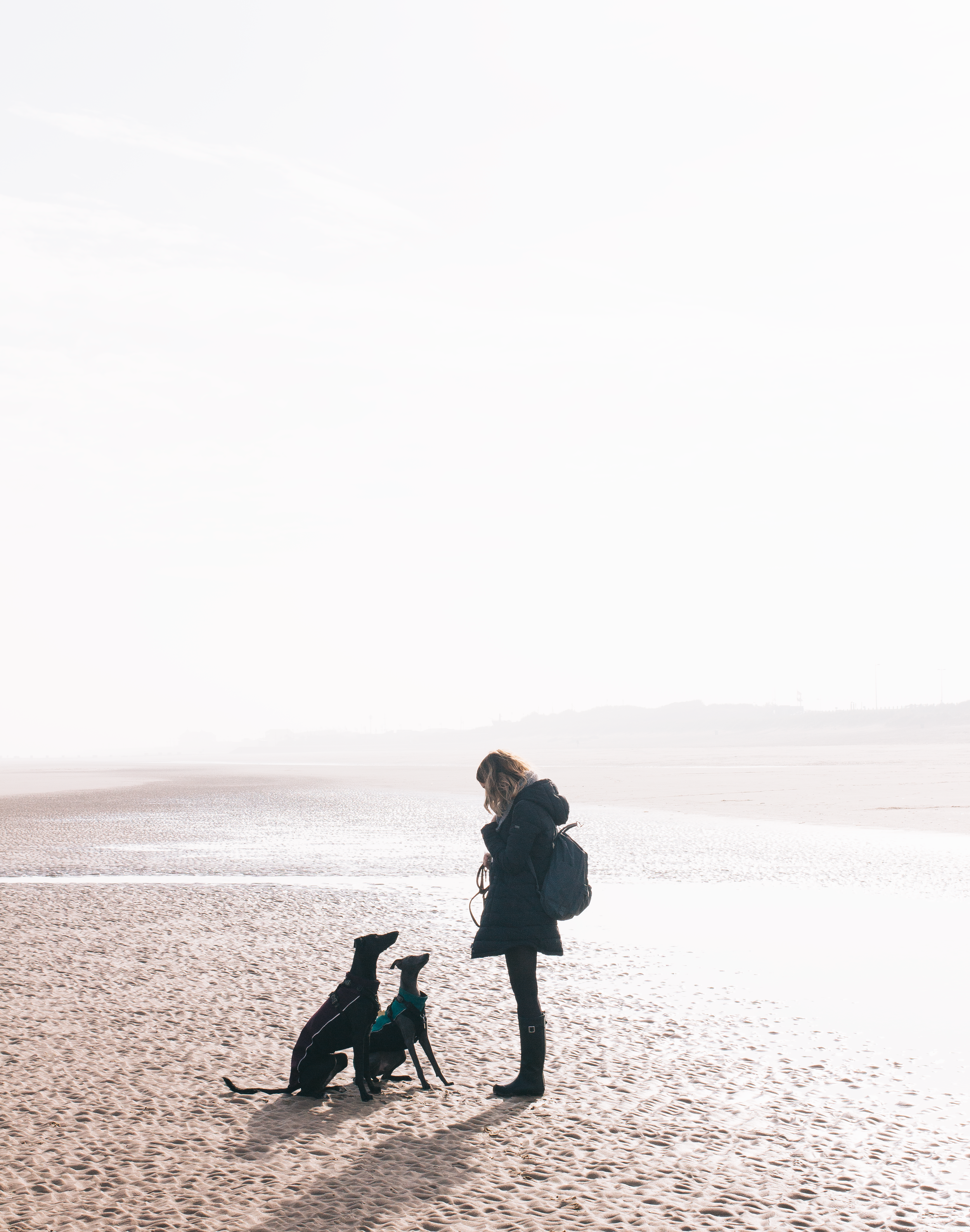 If Money Were No Question...