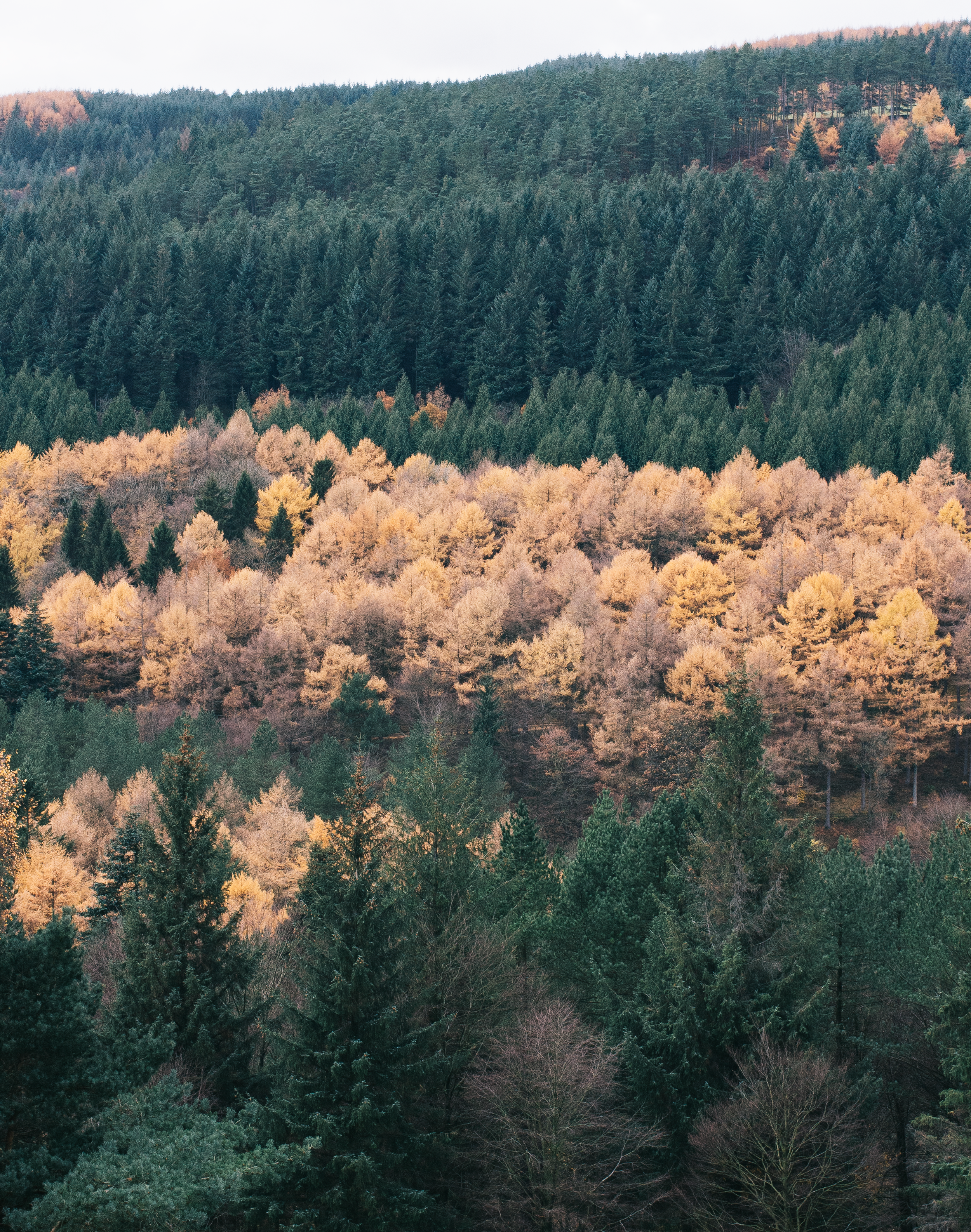 The New Daily Habits I'm Trying To Master 