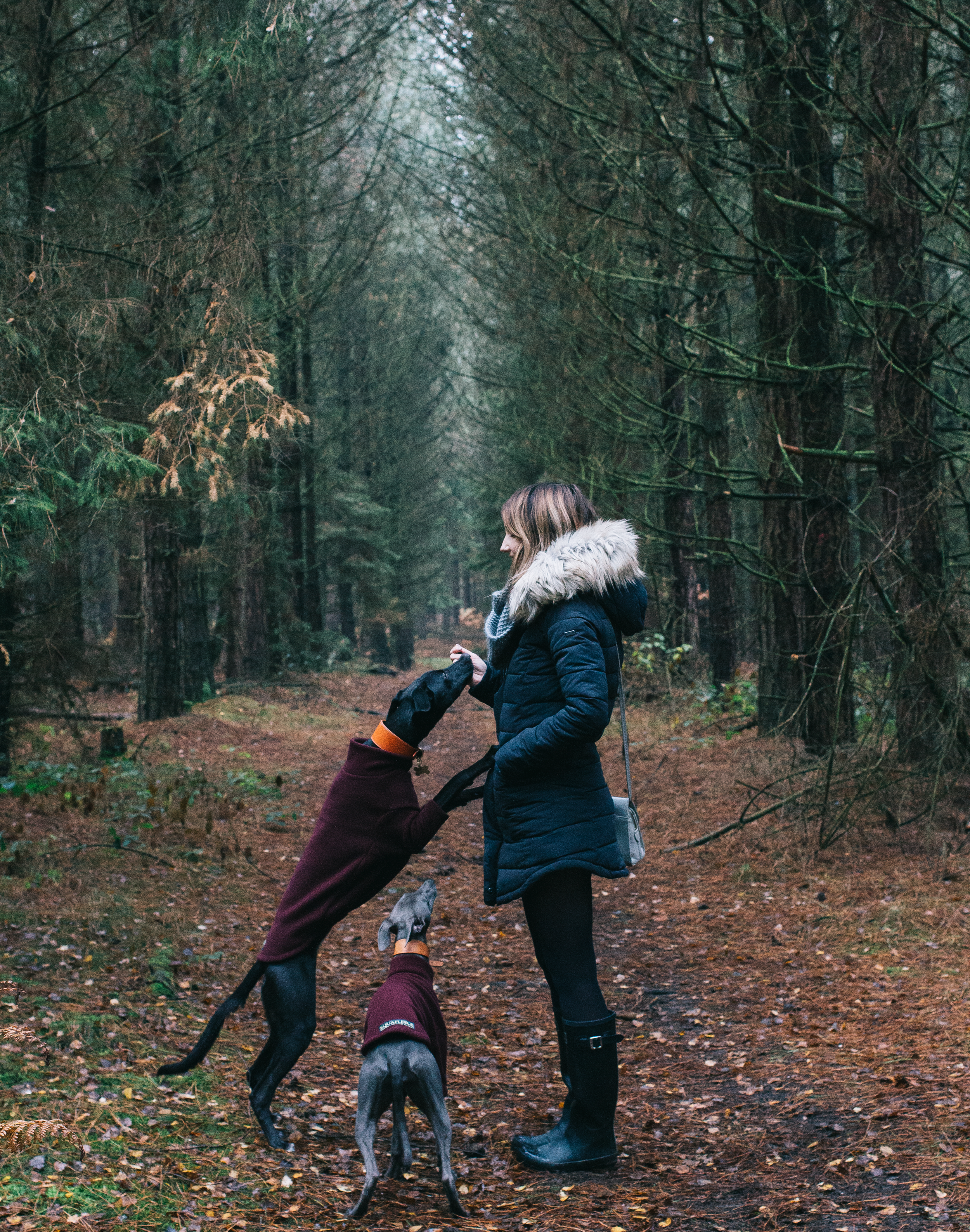 Your Weekend Reading, Watch &amp; Listen List #1 