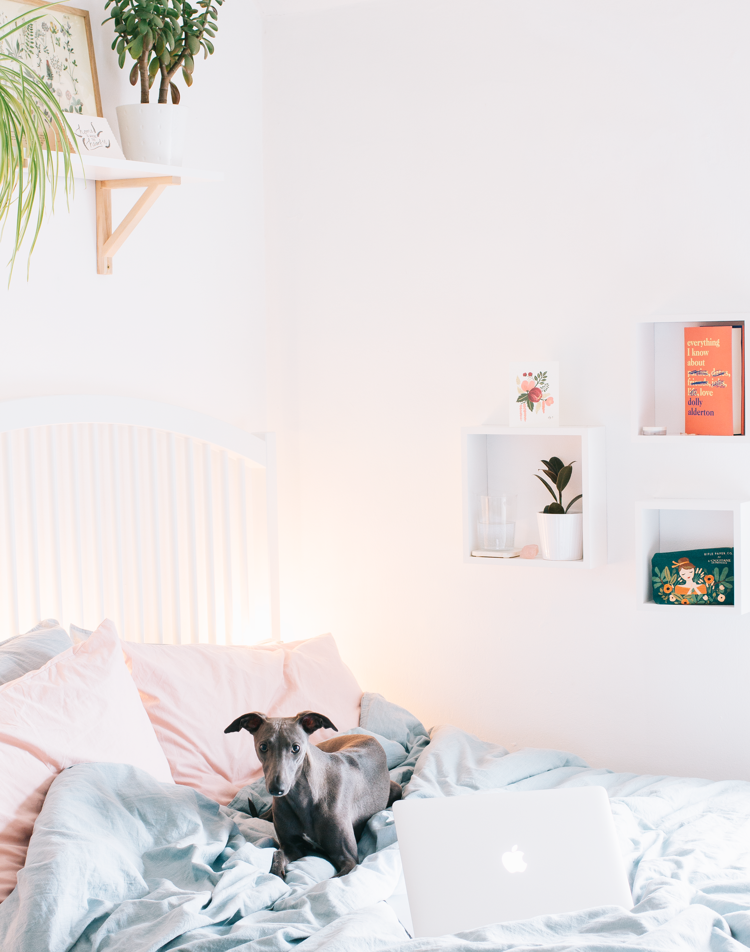 Your Weekend Reading, Watch &amp; Listen List #2 