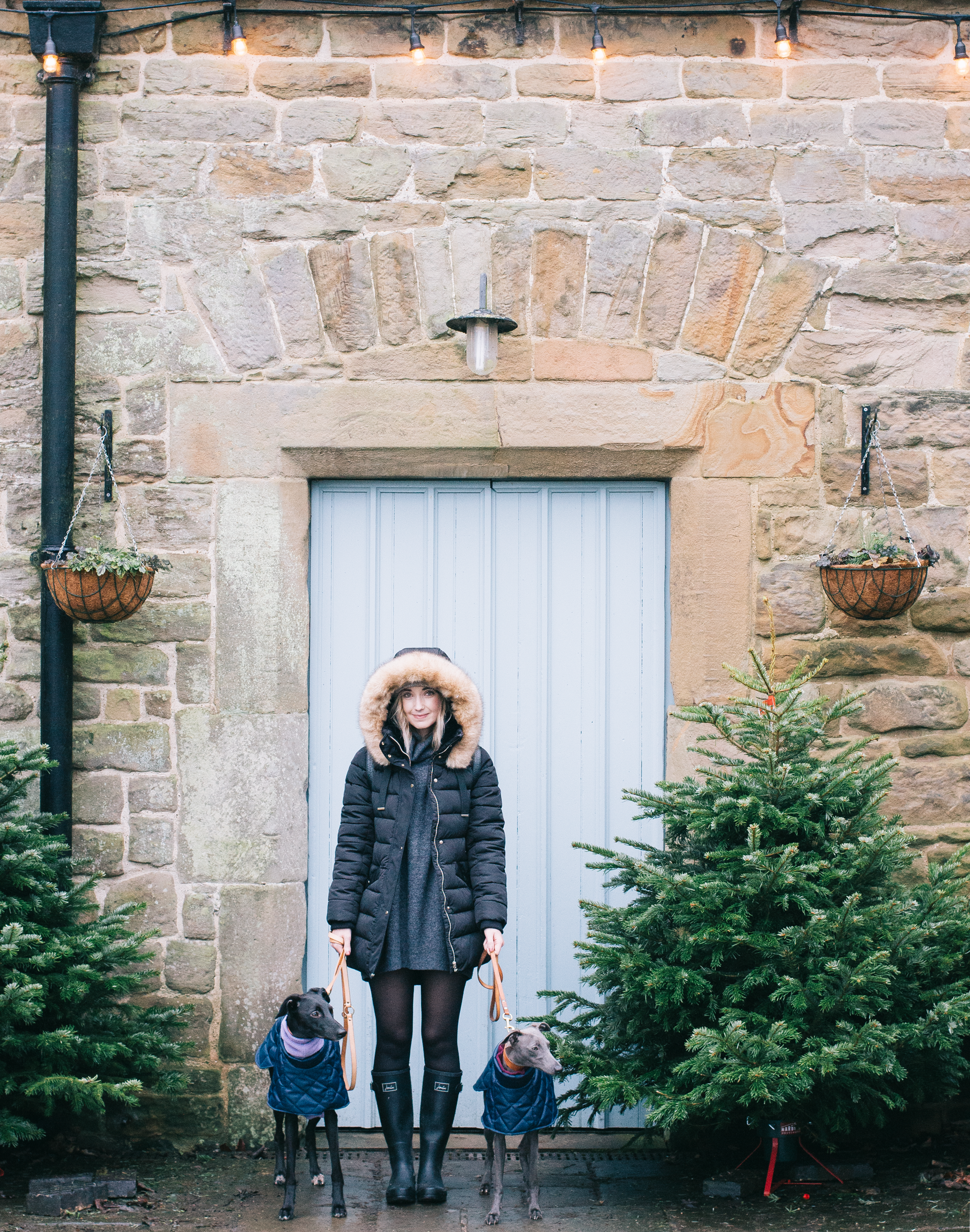 7 Of The Best Things That Happened In 2018