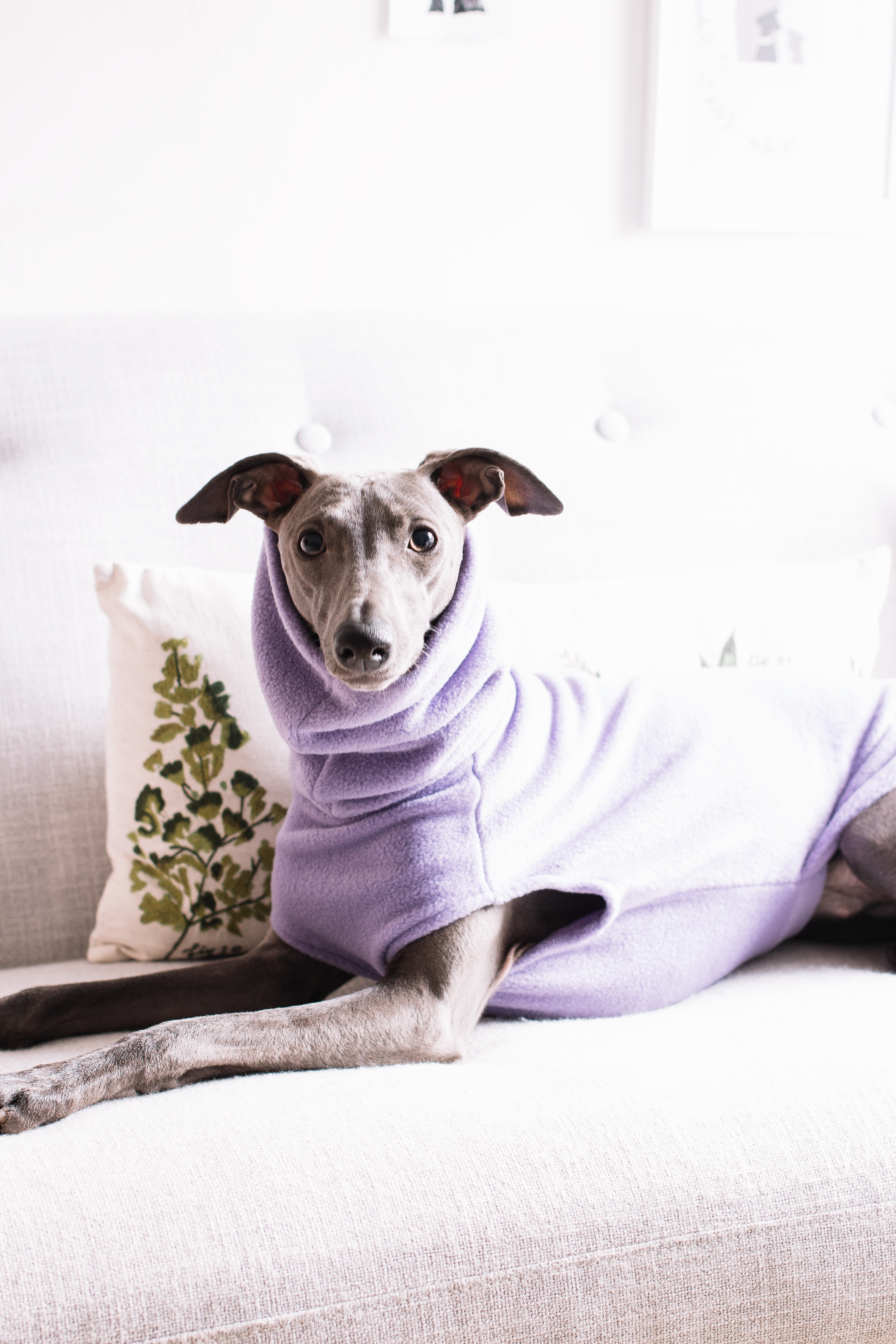 Edie-Jumper.png