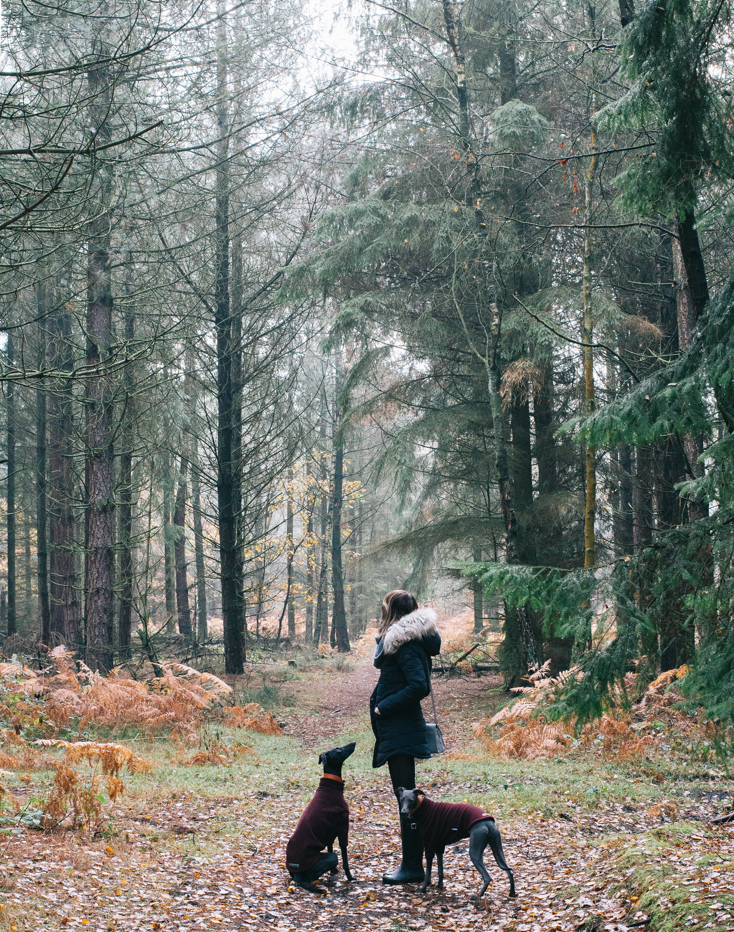 14 Things You Might Not Know About Josie &amp; Edie | AD 