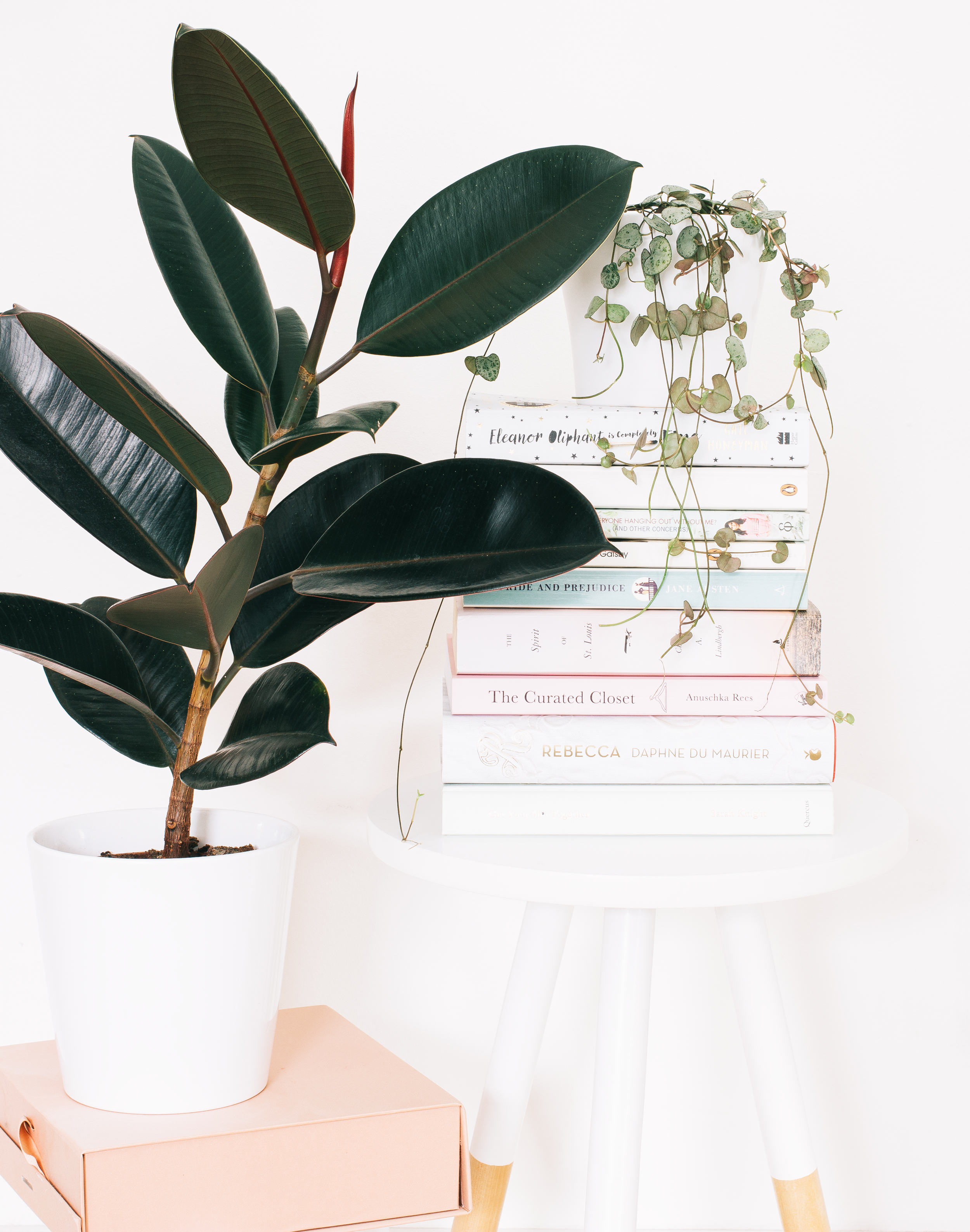 What's Worth The Read &amp; What's Not 