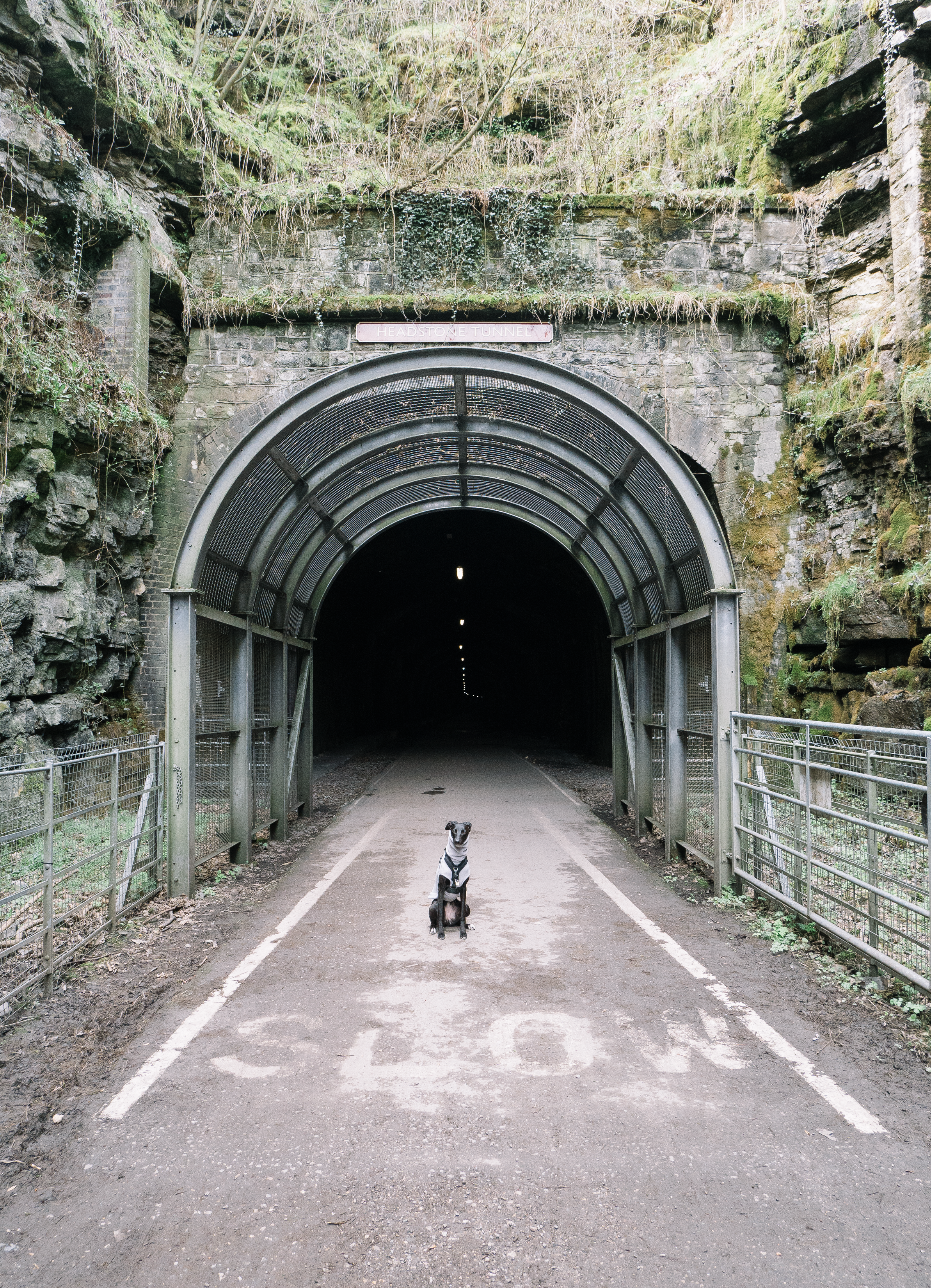 Monsal.png