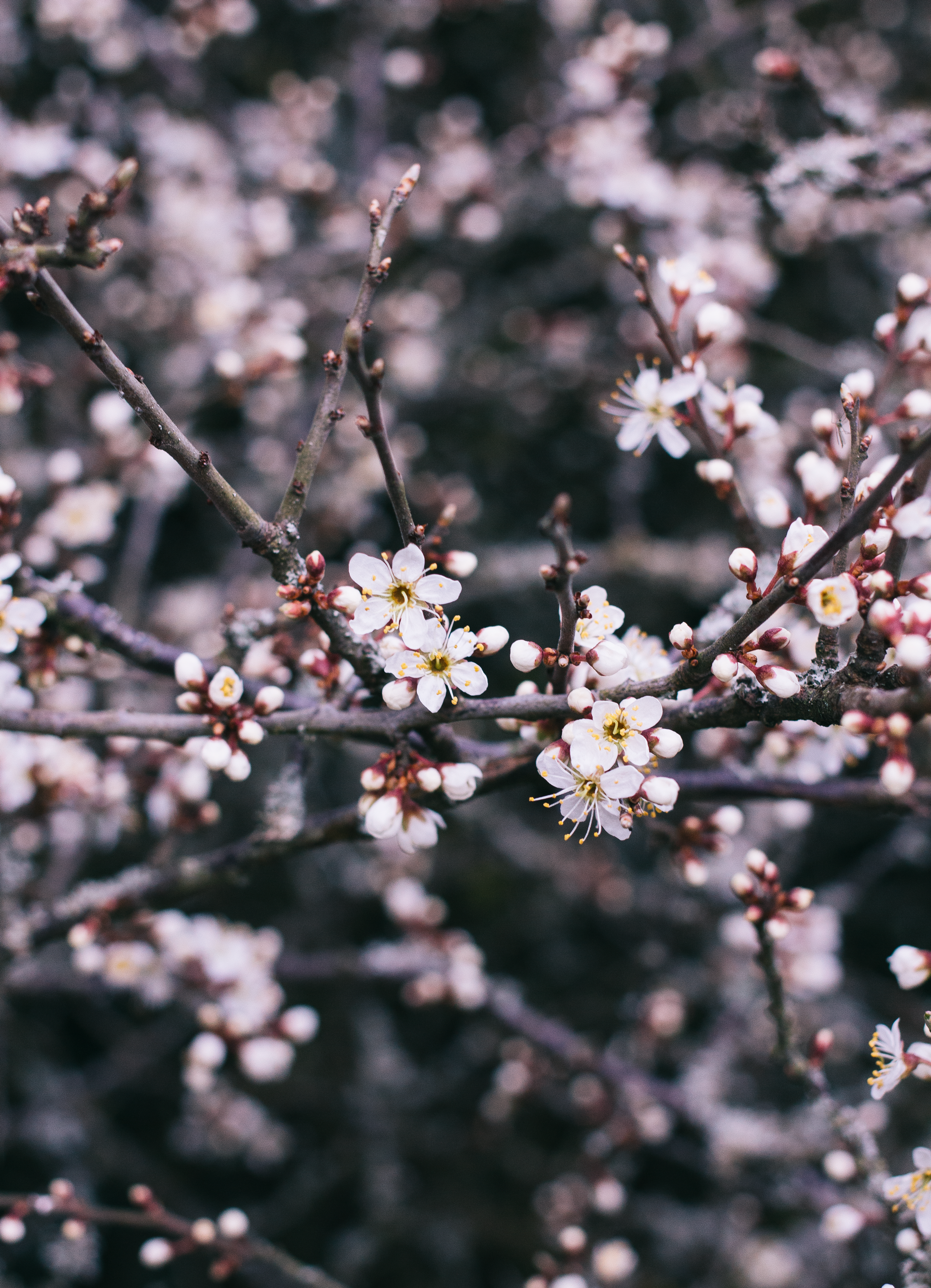 All The Mistakes I've Made In Blogging 