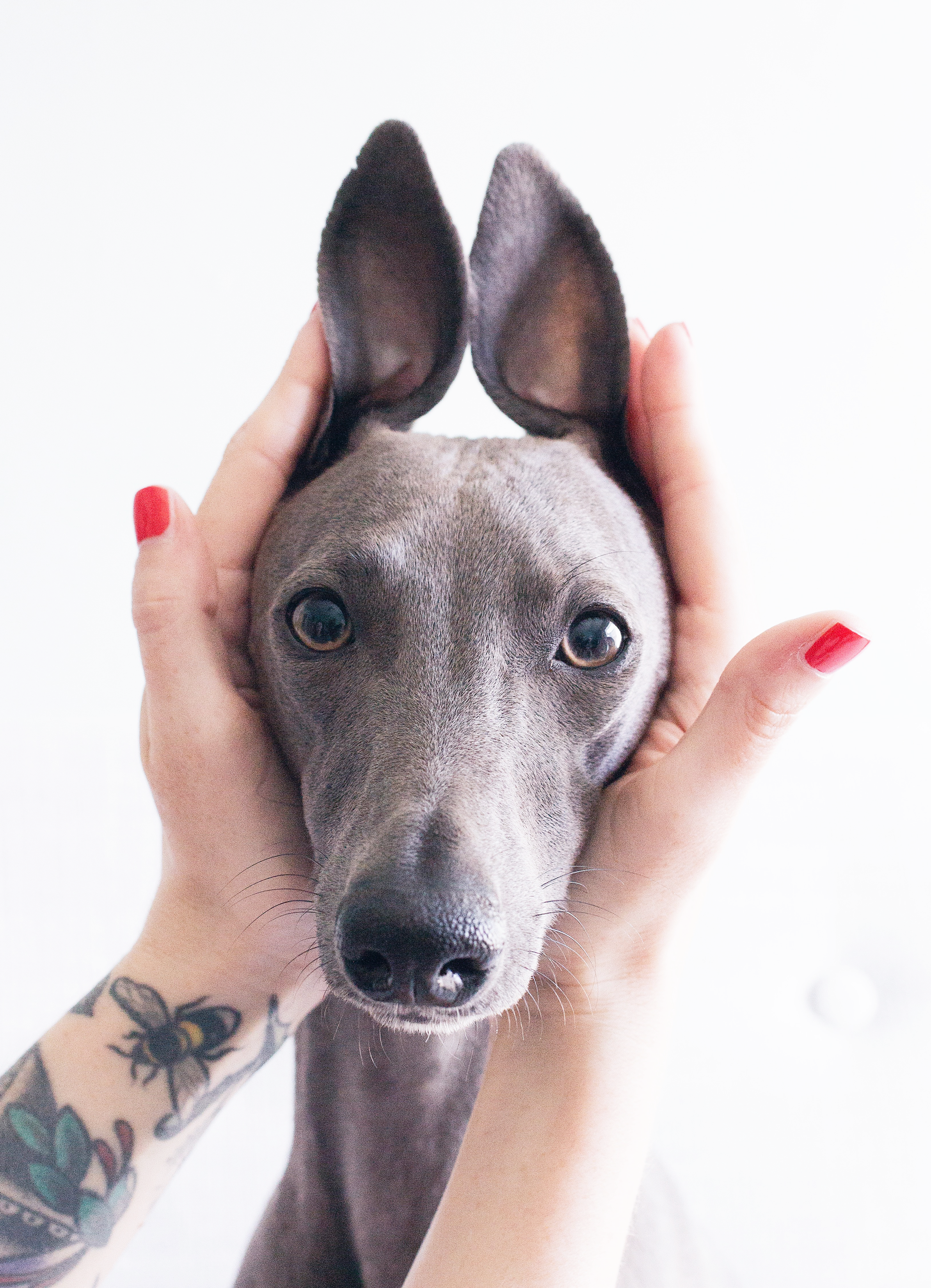 10 Feel Good Instagram Accounts To Follow 