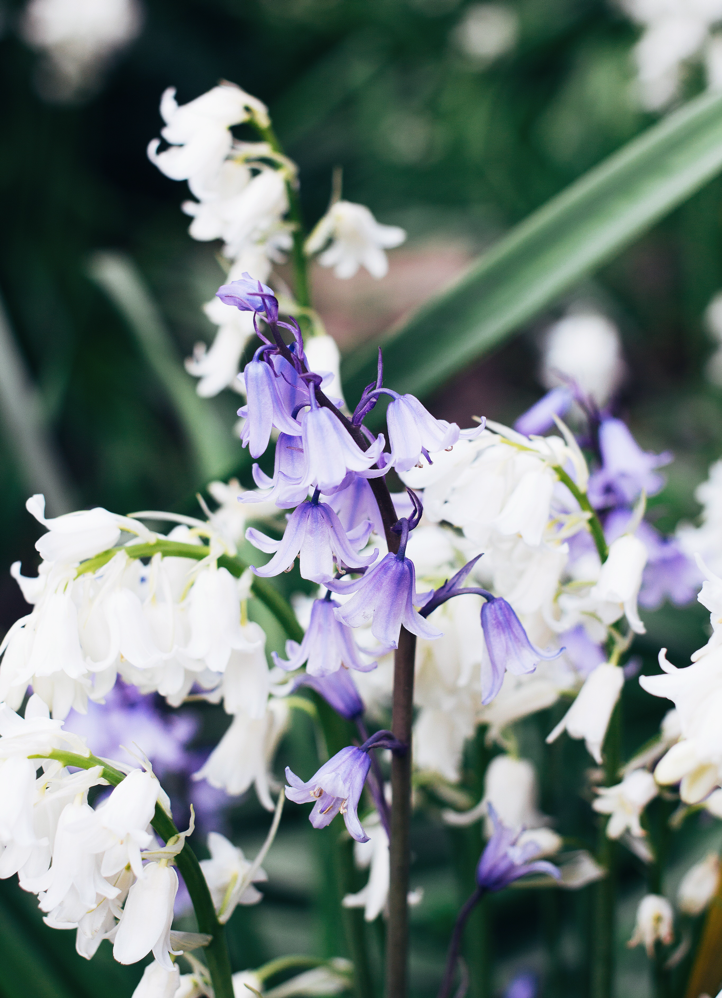 Your Weekend Reading, Watch &amp; Listen list #8