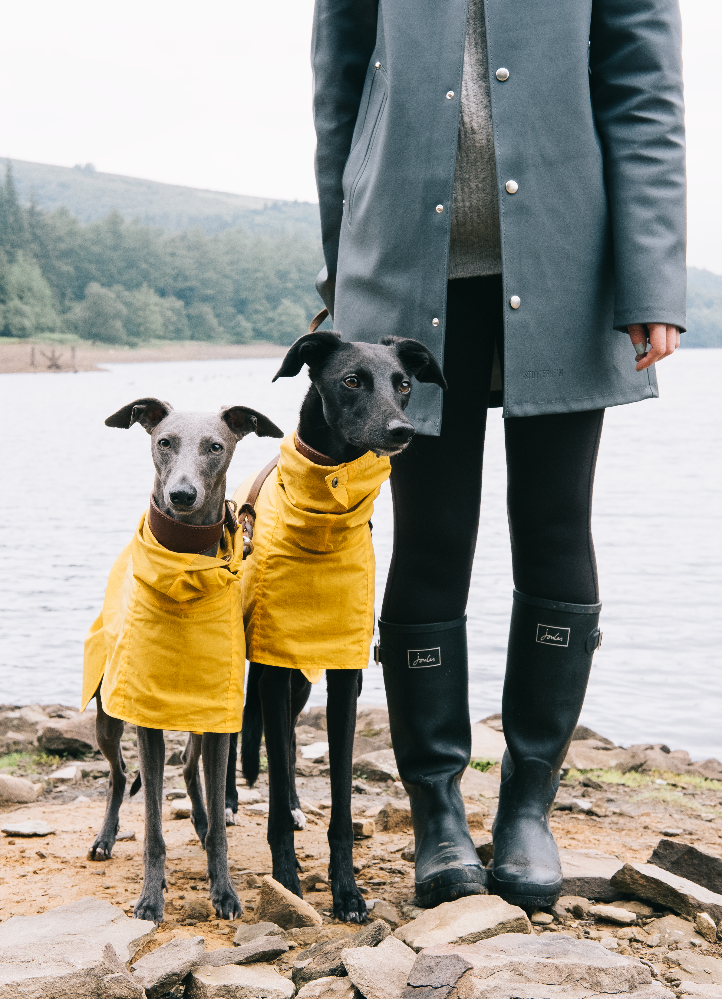 Wellies.png
