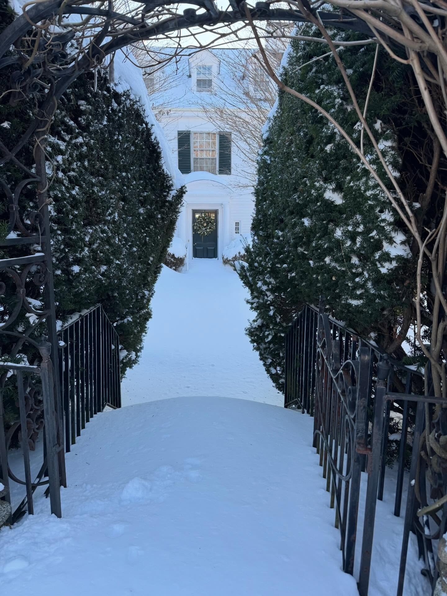 50 days until spring! #HeronKnoll