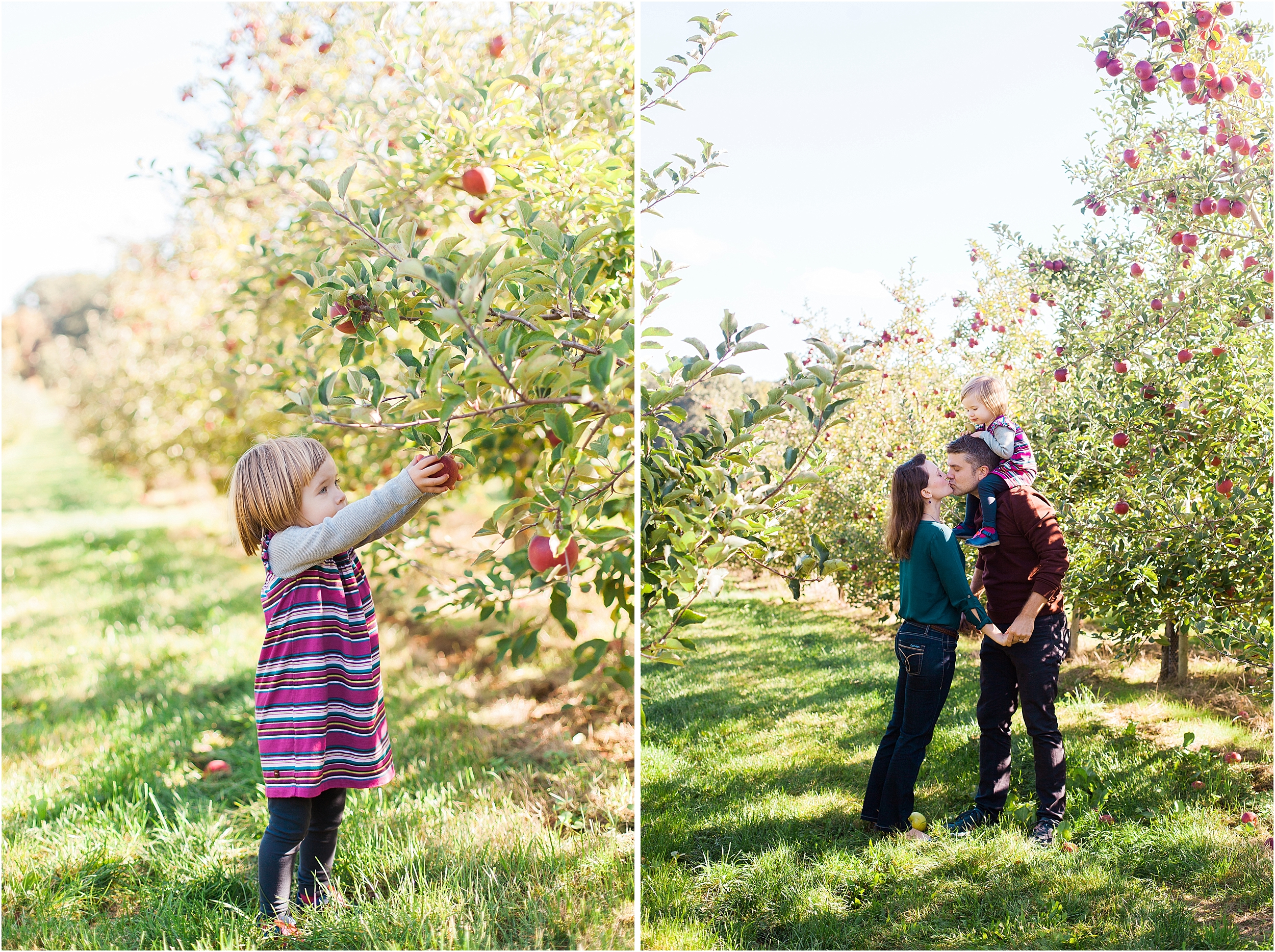 emily grace photography lancaster pa family photographer