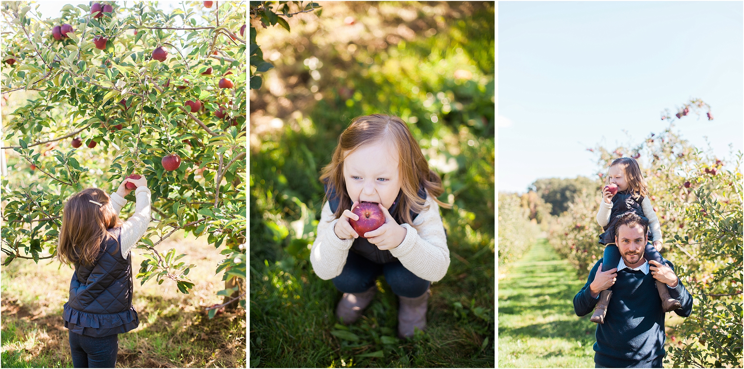 emily grace photography lancaster pa family photographer