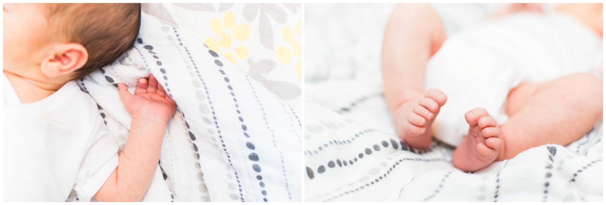 emily grace photography lancaster pa newborn photographer