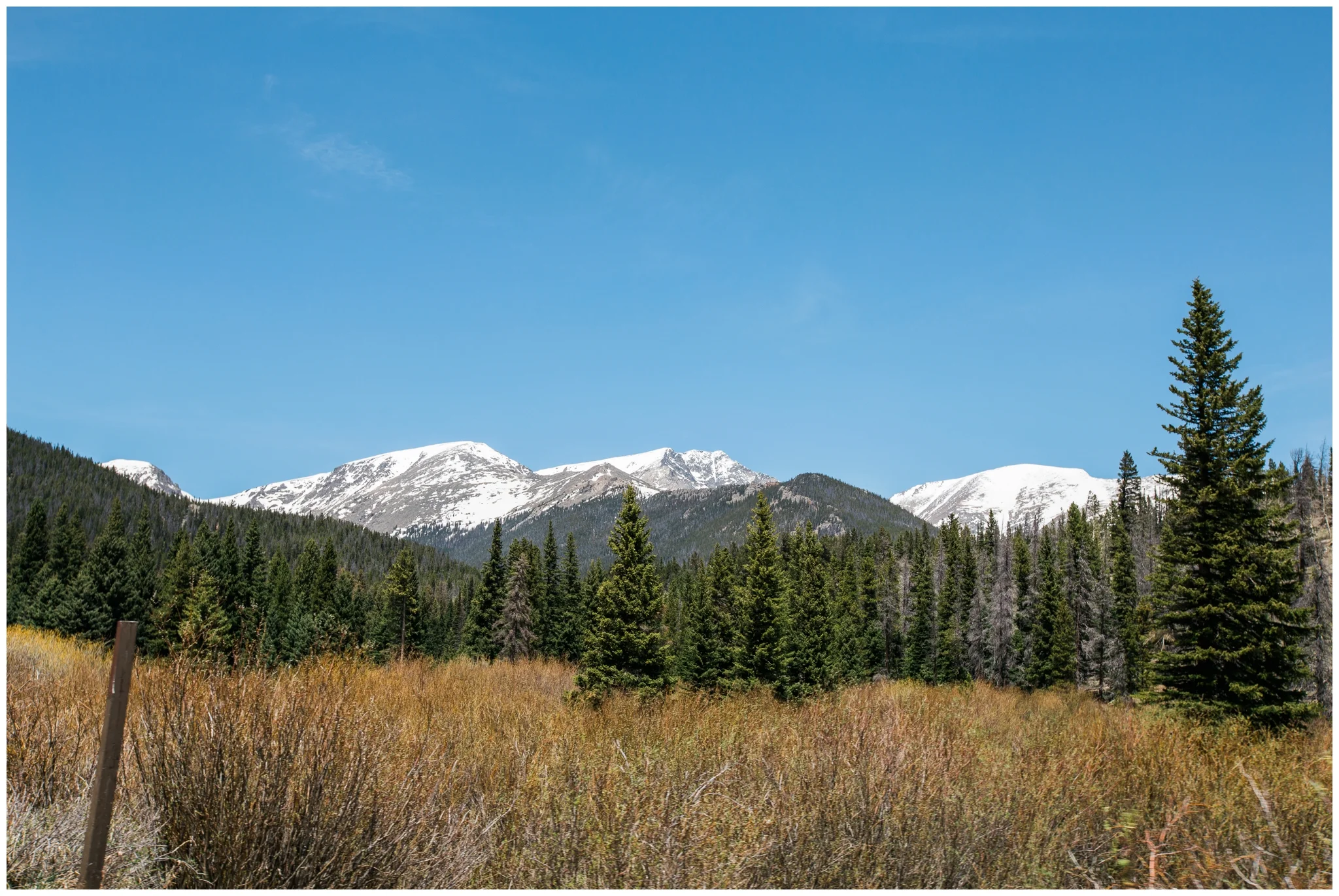 emily grace photography rocky mountain wedding photographer