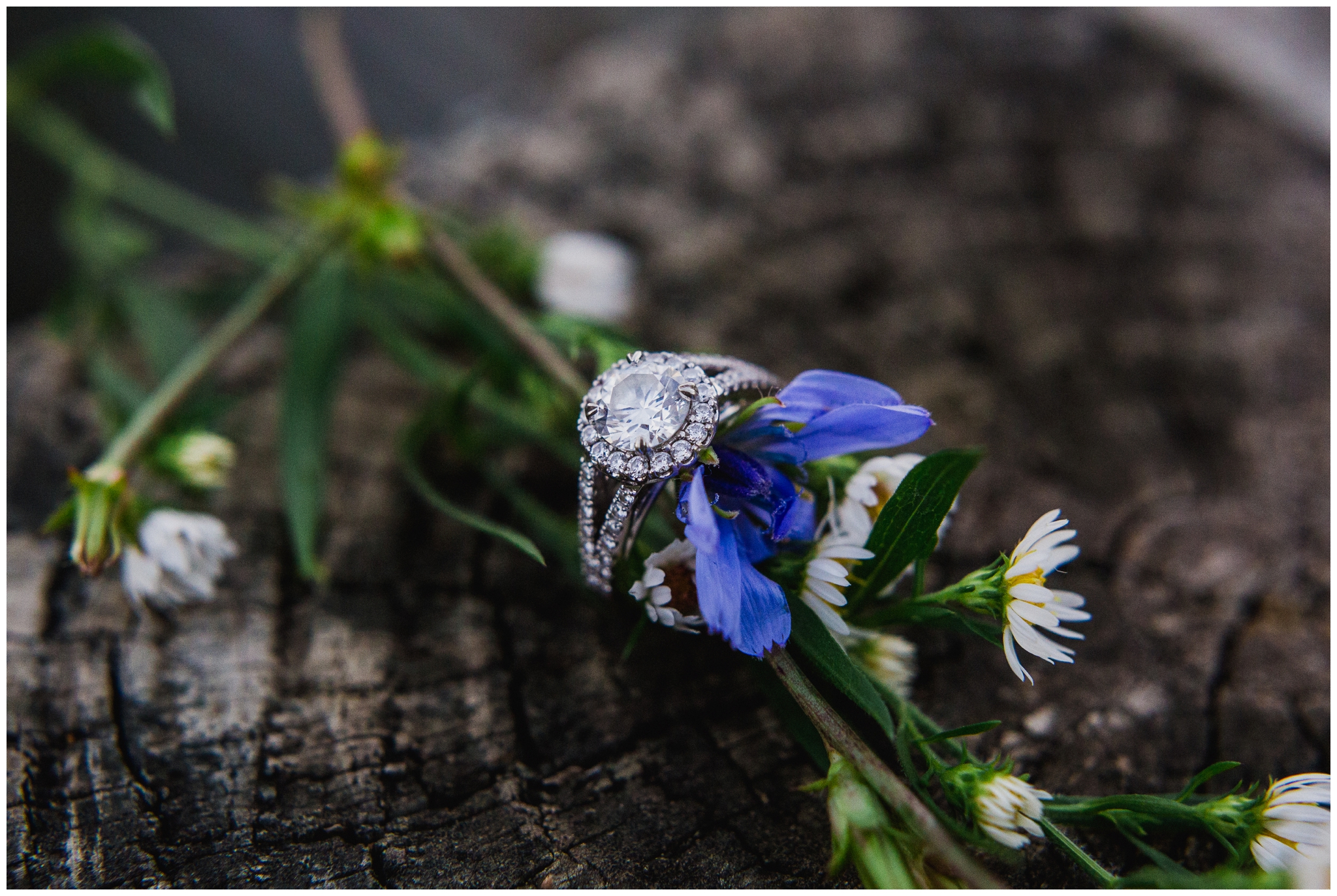 emily grace photography french creek engagement