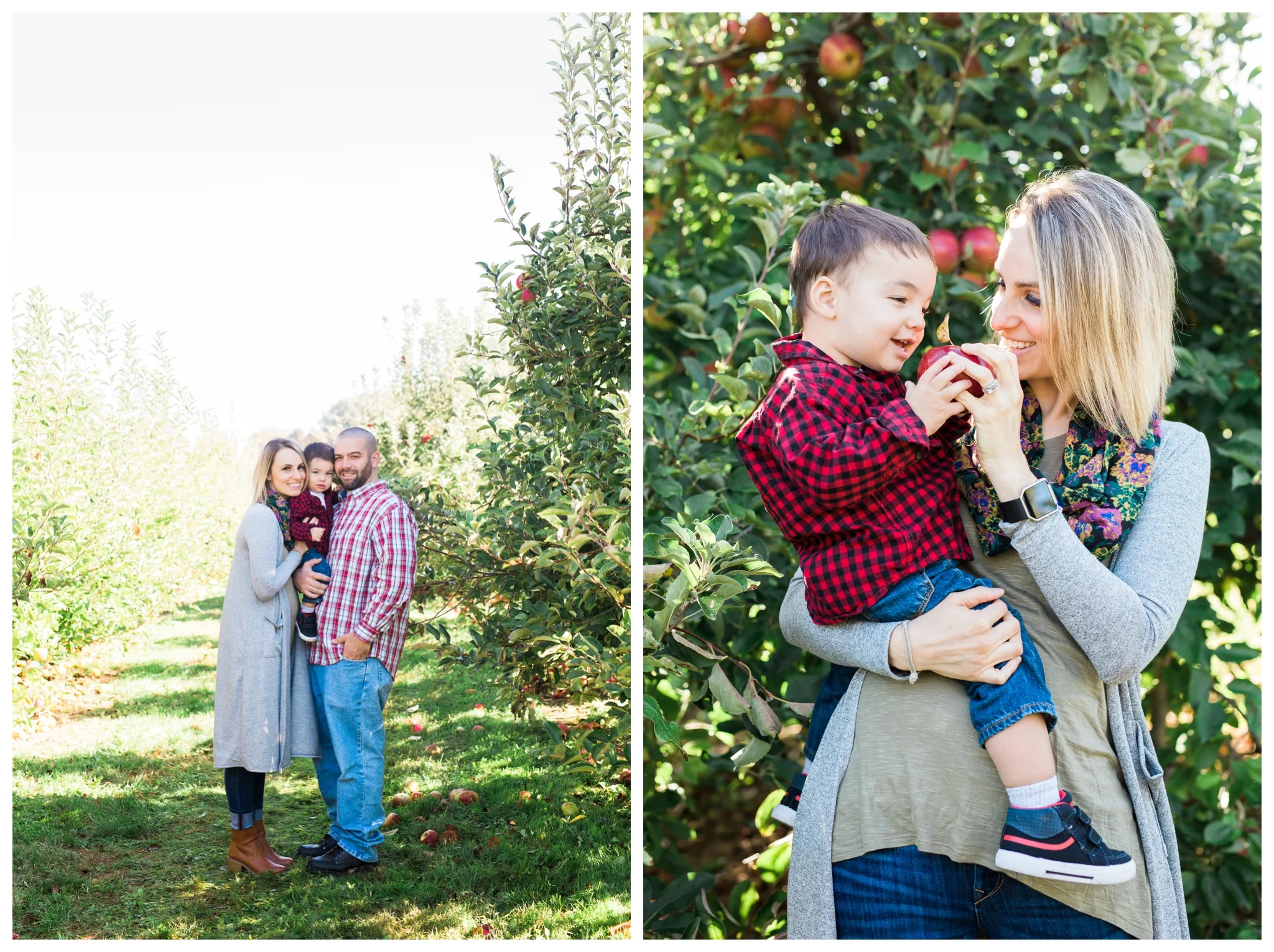 emily grace photography elizabethtown pa family pictures