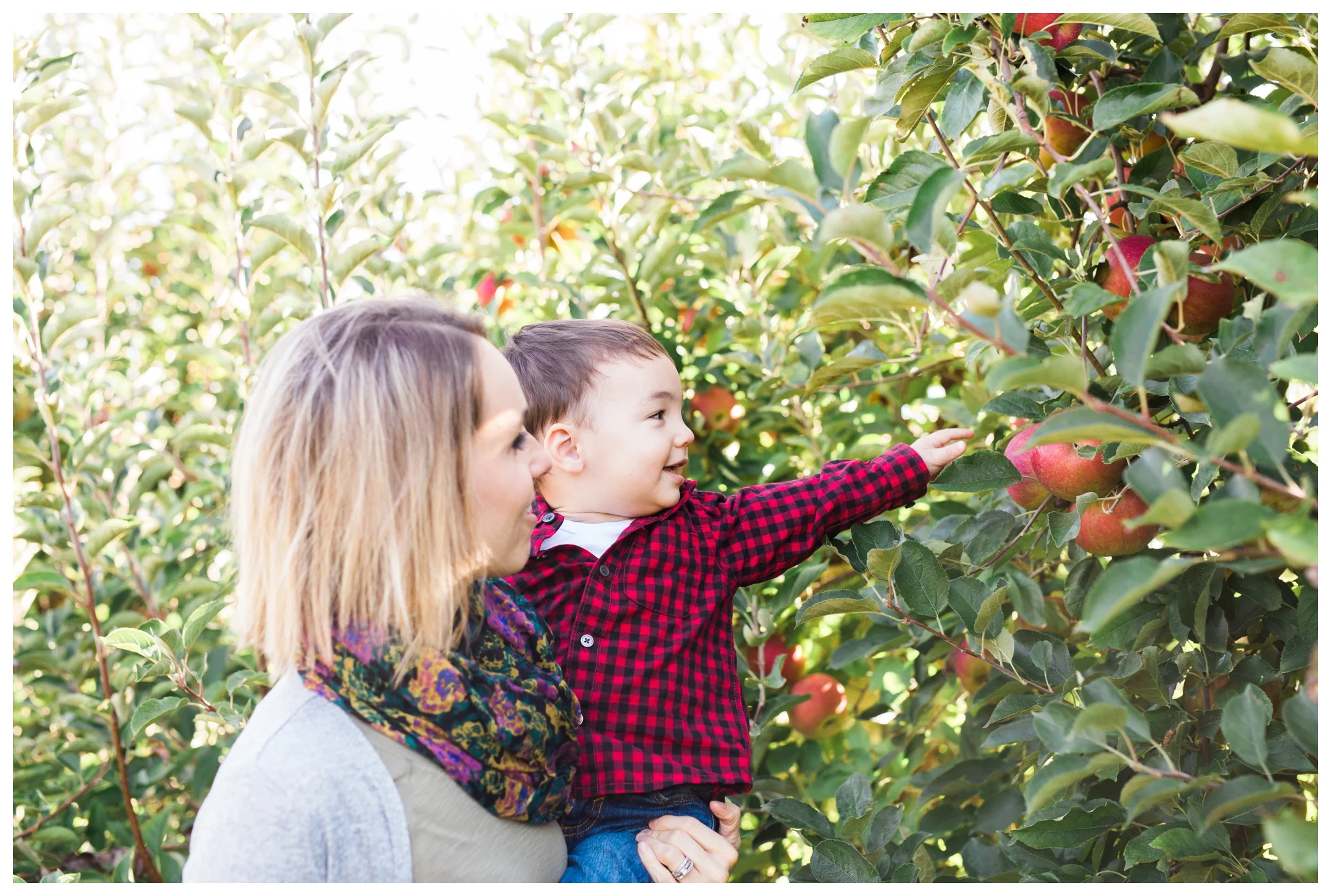 emily grace photography elizabethtown pa family pictures