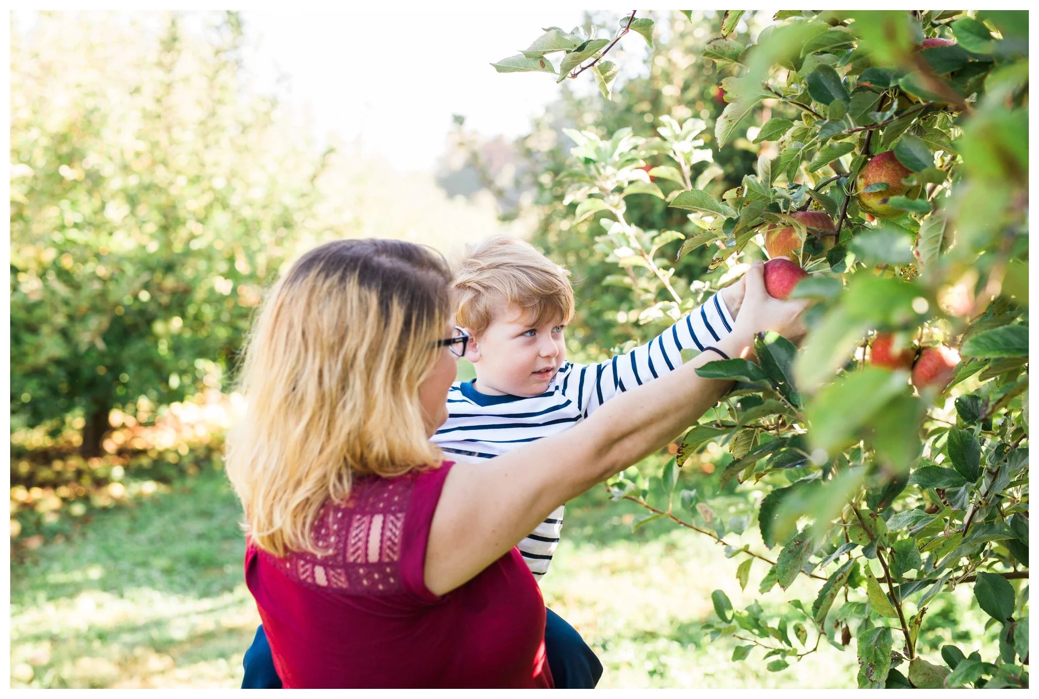 emily grace photography elizabethtown pa family pictures