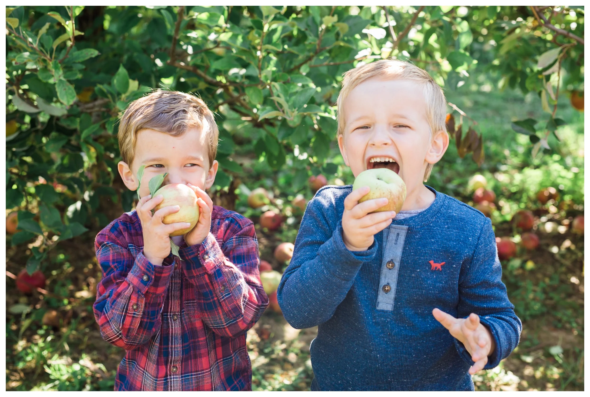 emily grace photography elizabethtown pa family pictures