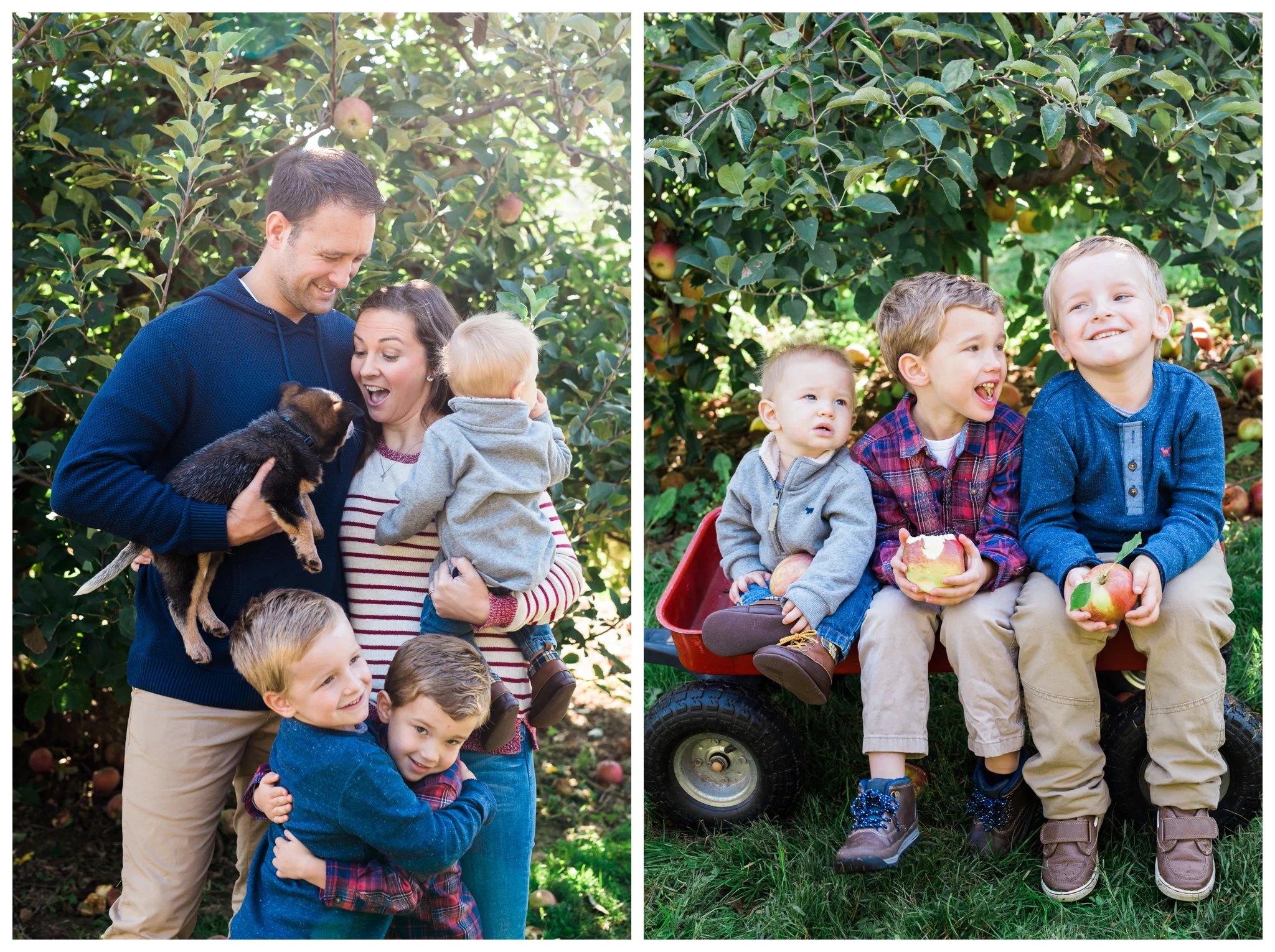 emily grace photography elizabethtown pa family pictures
