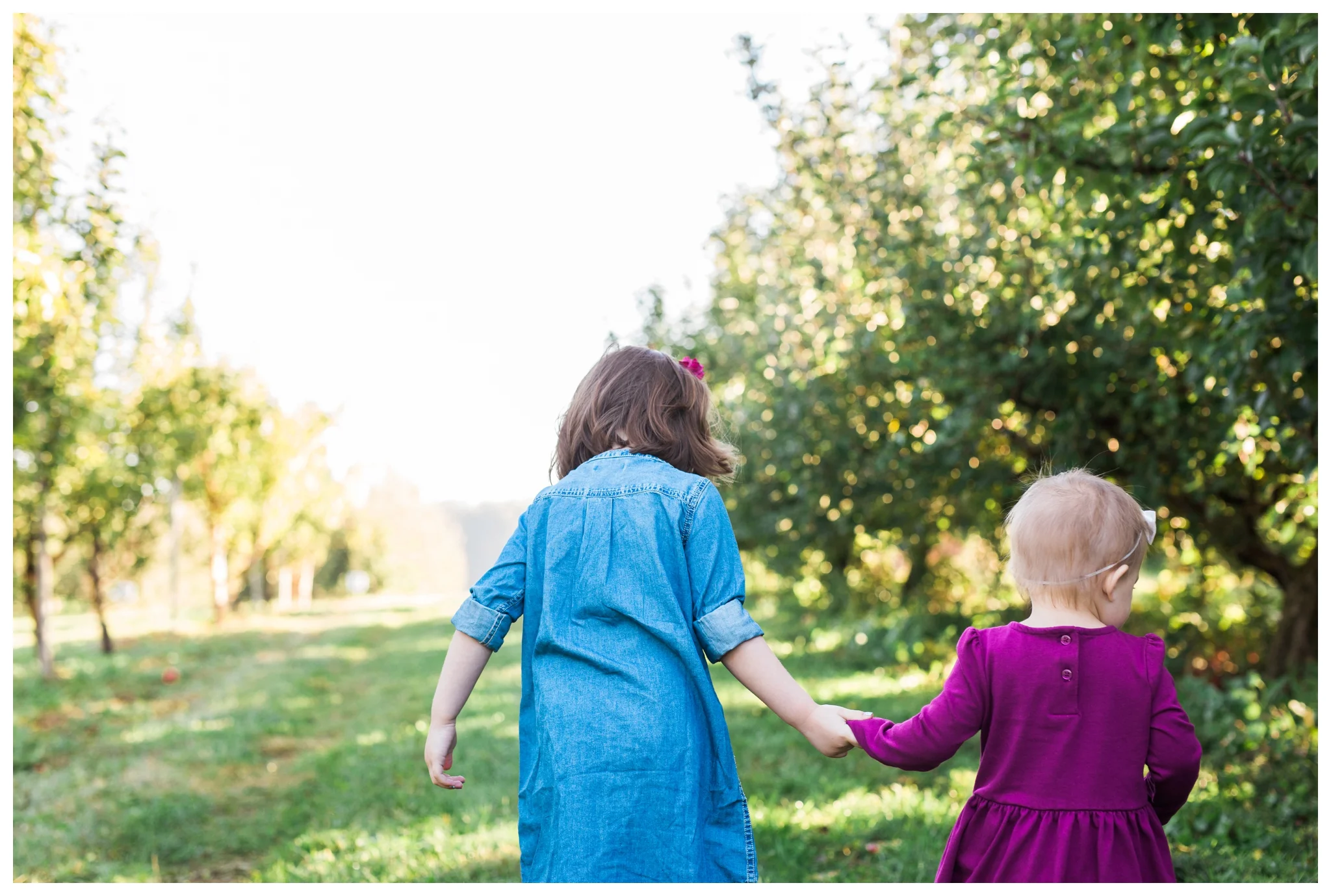 emily grace photography elizabethtown pa family pictures
