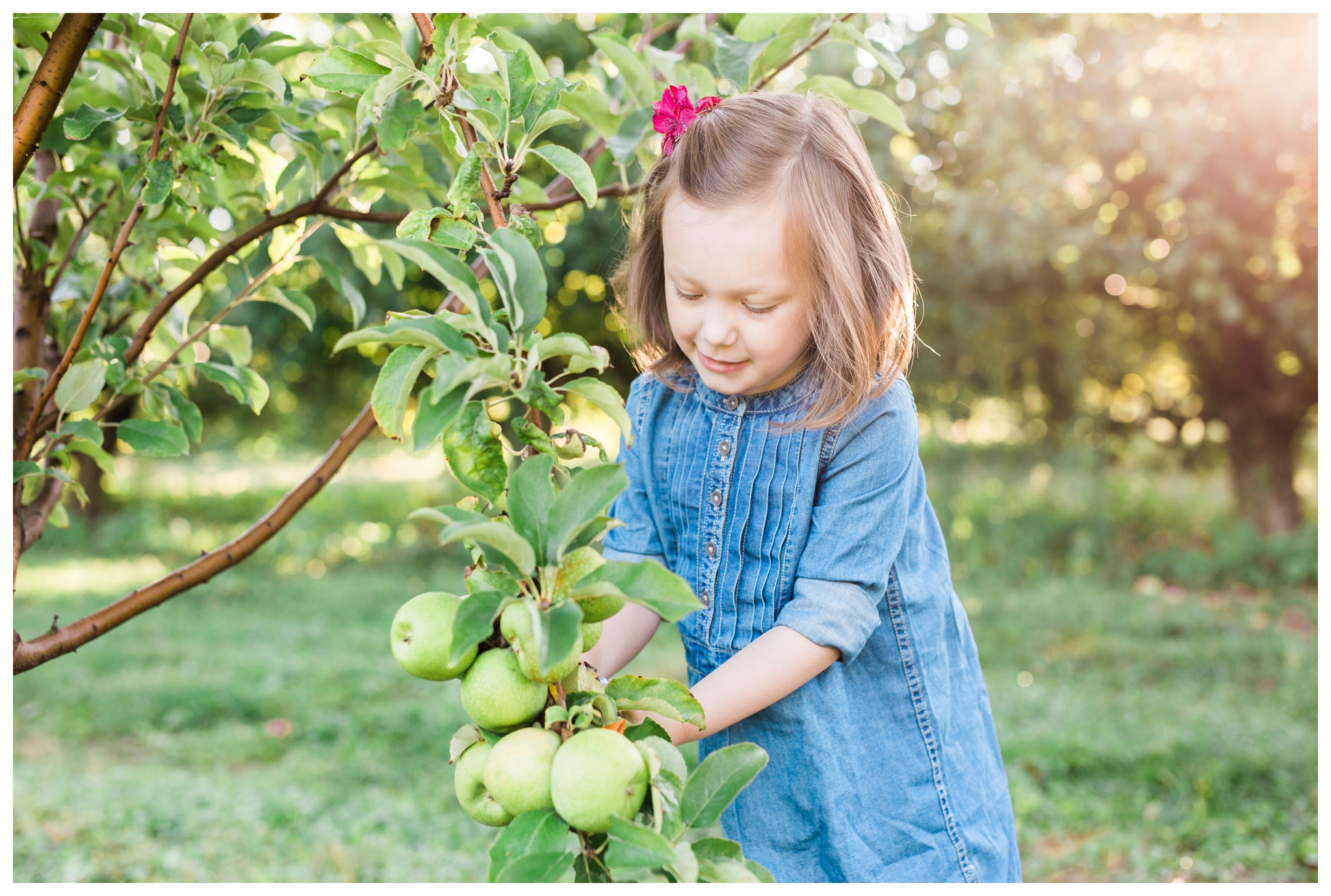 emily grace photography elizabethtown pa family pictures