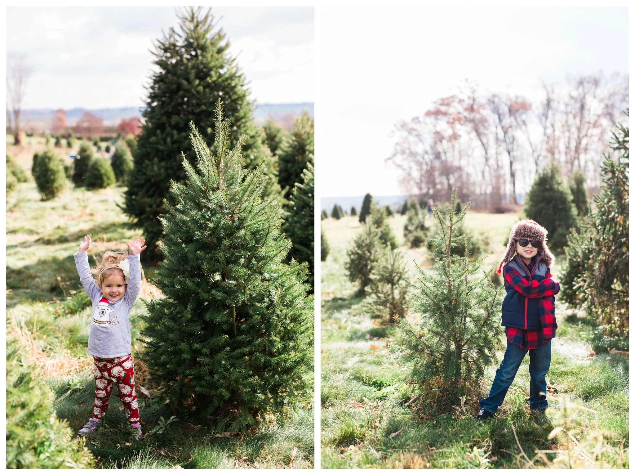 emily grace photography lancaster pa family photographer