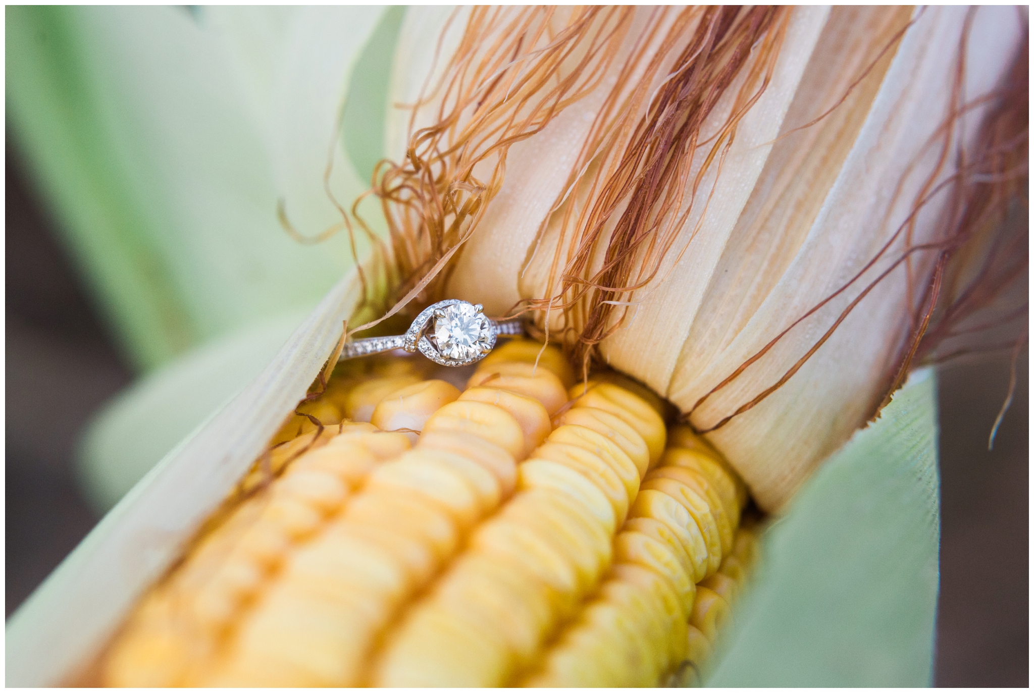 Emily Grace Photography- Bethlehem SteelStacks Wedding Photographer