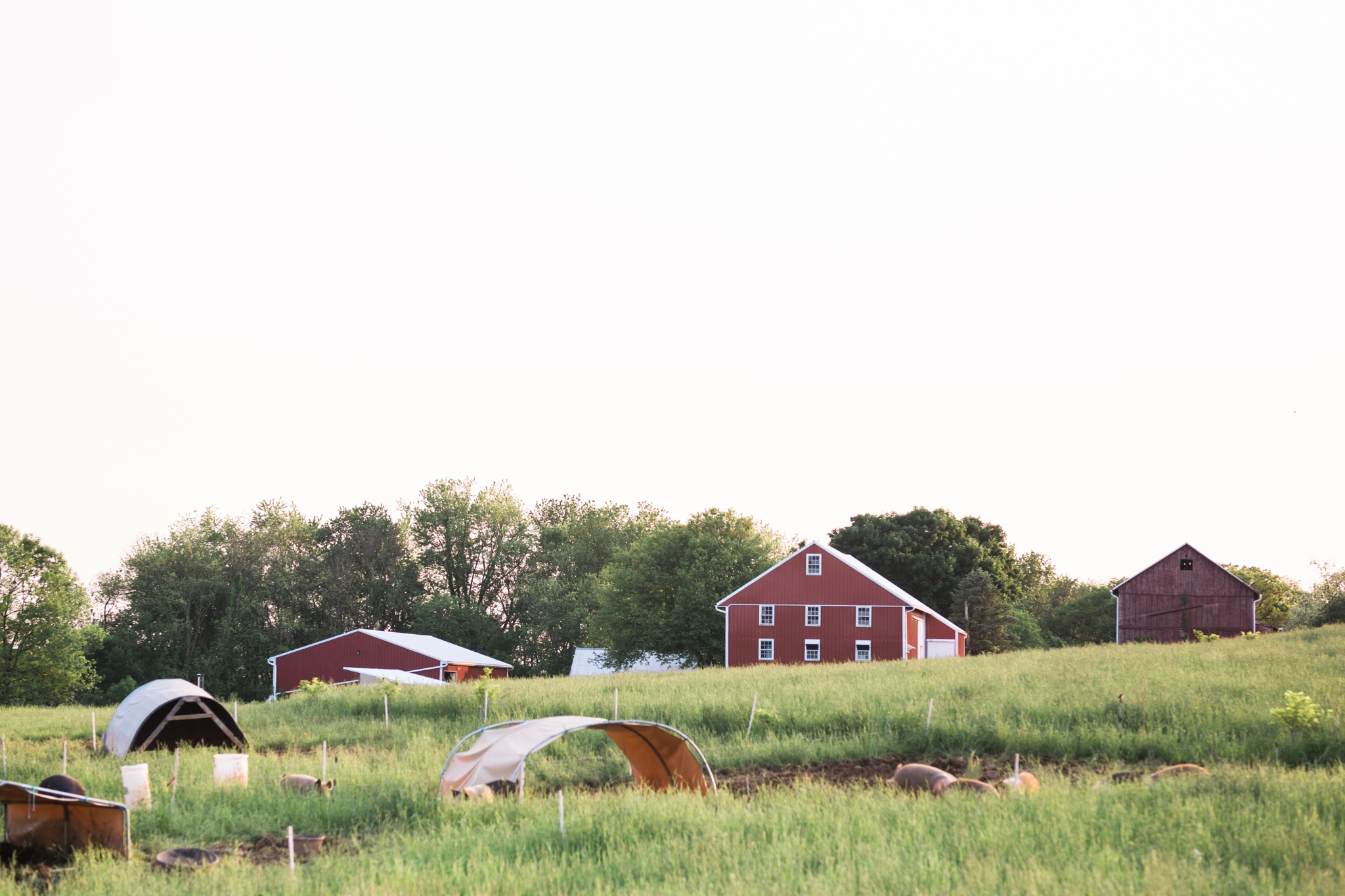 Emily Grace Photography, Lifestyle Portraits, Rising Locust Farm, Organic Permaculture Farm, Lancaster PA