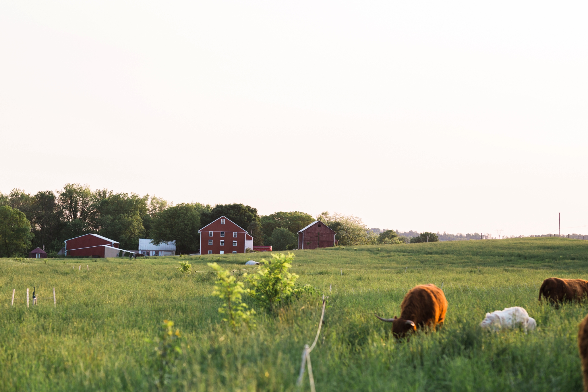 Emily Grace Photography, Lifestyle Portraits, Rising Locust Farm, Organic Permaculture Farm, Lancaster PA