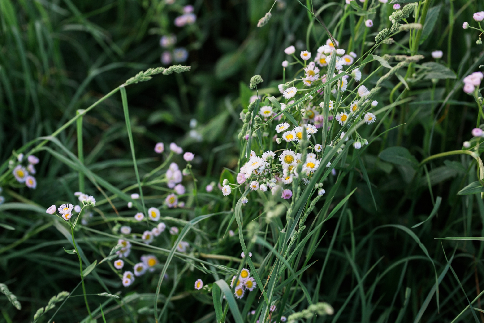 Emily Grace Photography, Lifestyle Portraits, Rising Locust Farm, Organic Permaculture Farm, Lancaster PA